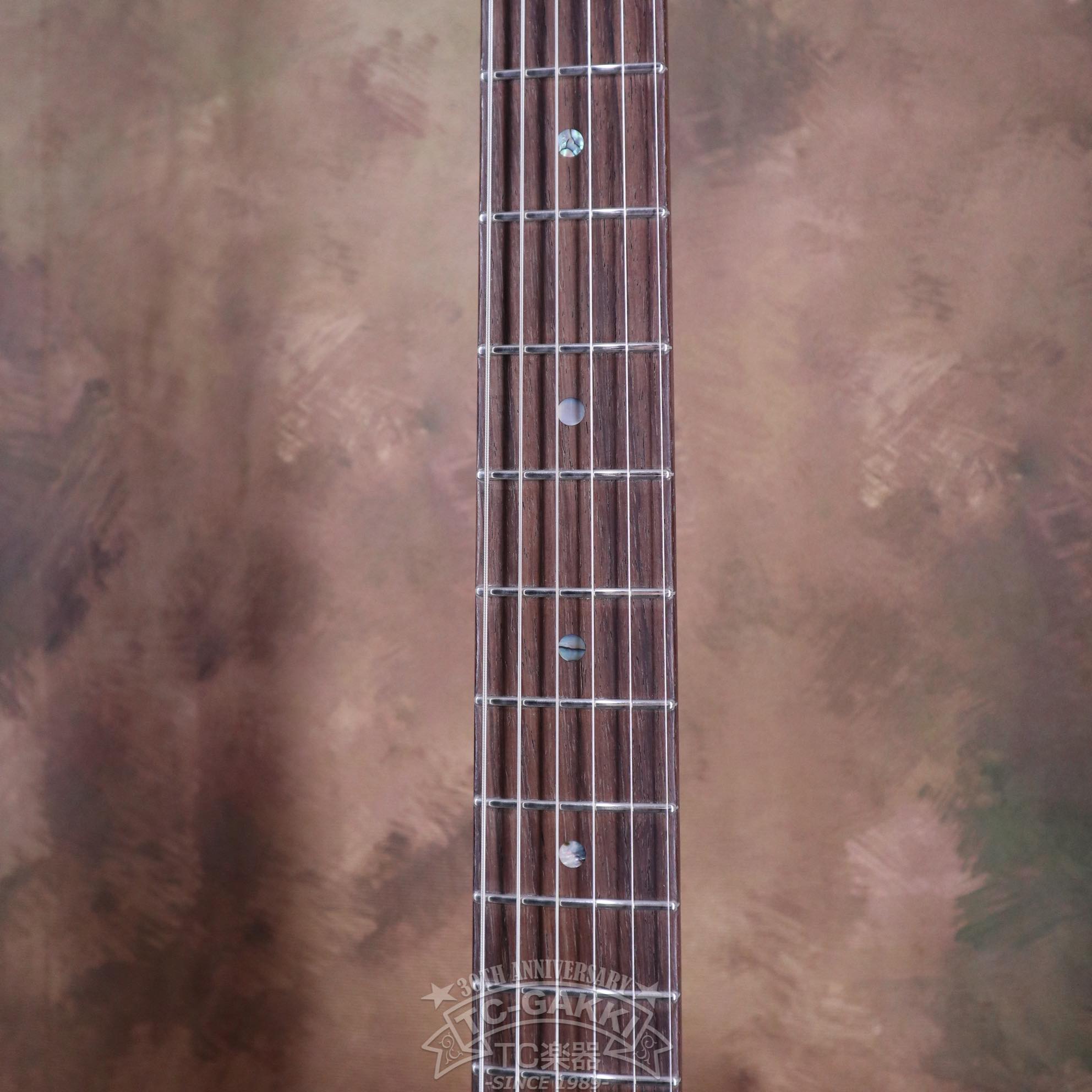 Gatton Aged Butterscotch Custom Order - TC楽器 - TCGAKKI