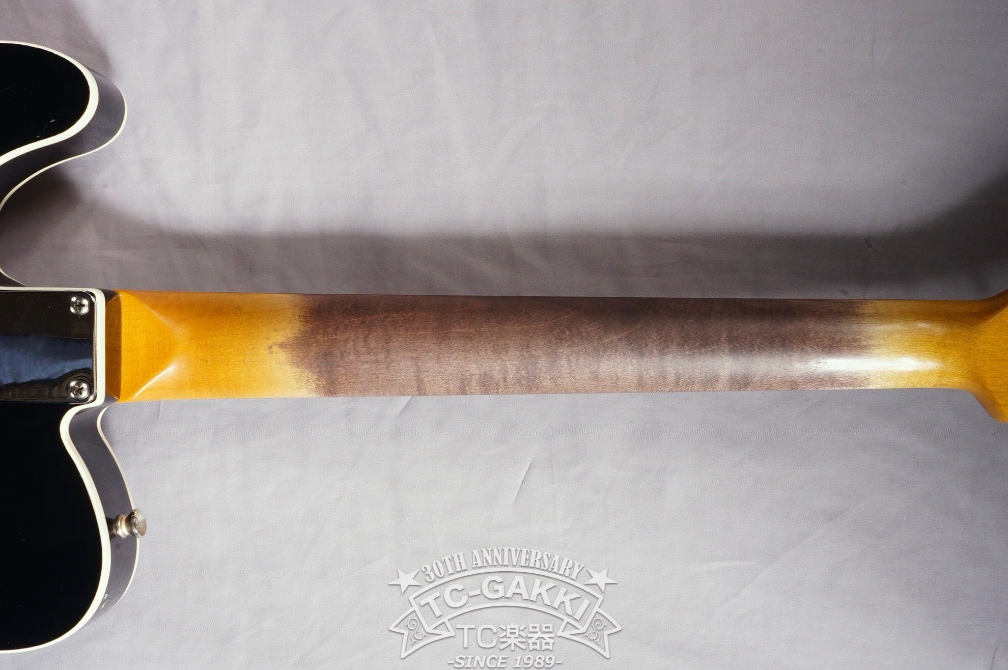 Gatton Double Binding Gloss Black - TC楽器 - TCGAKKI