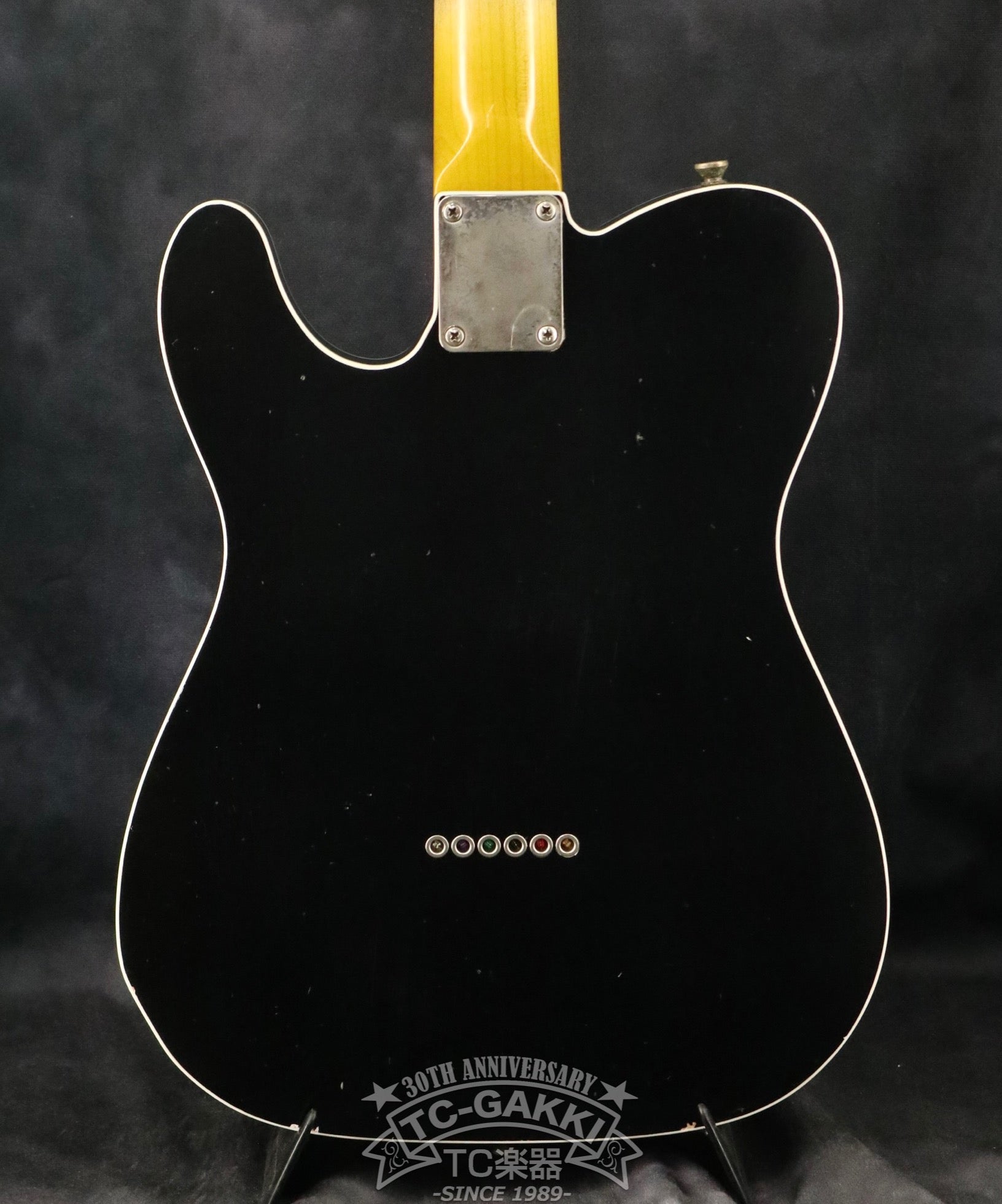 Gatton Double Binding Matte Black Alder Body - TC楽器 - TCGAKKI