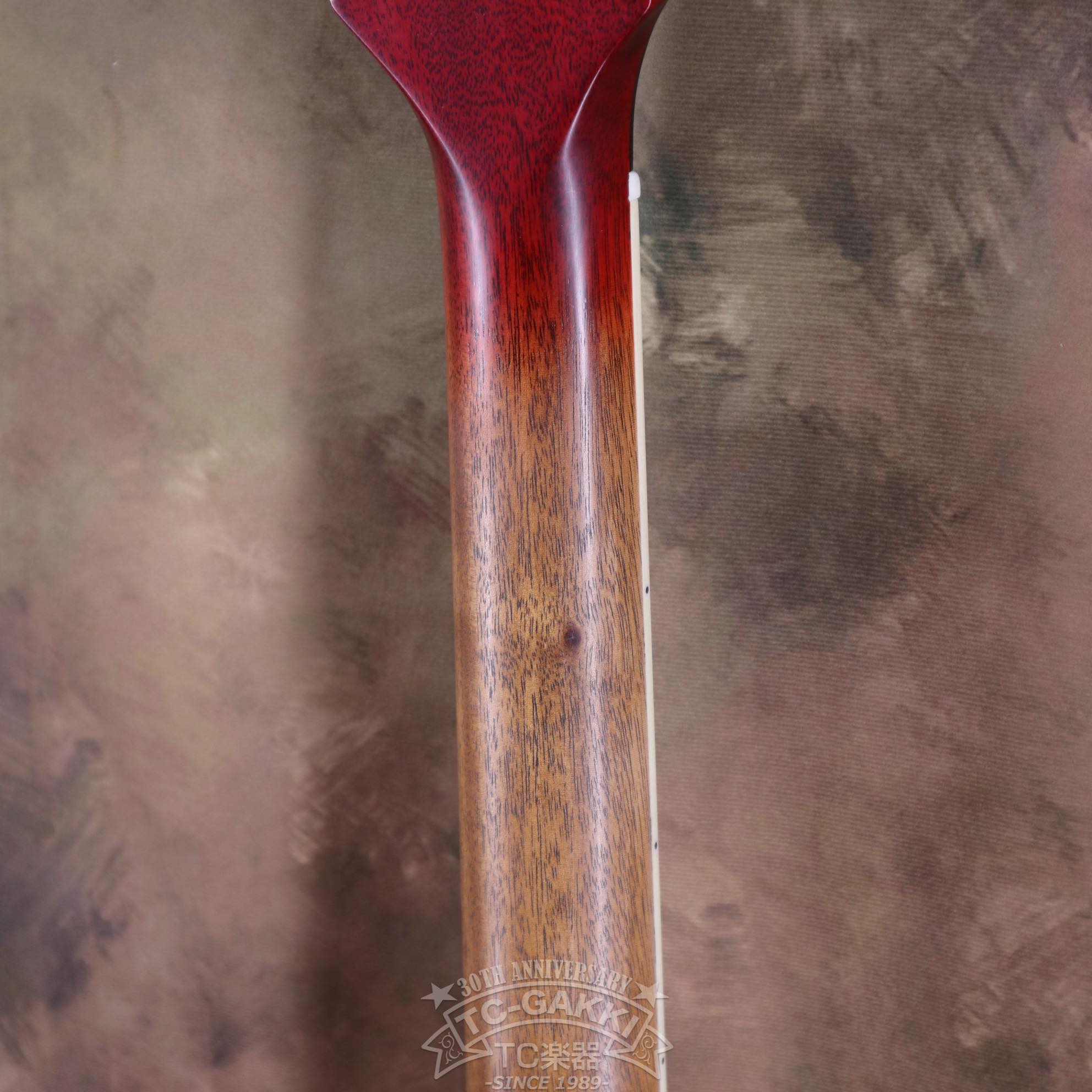 KASHMIR Custom Order - TC楽器 - TCGAKKI