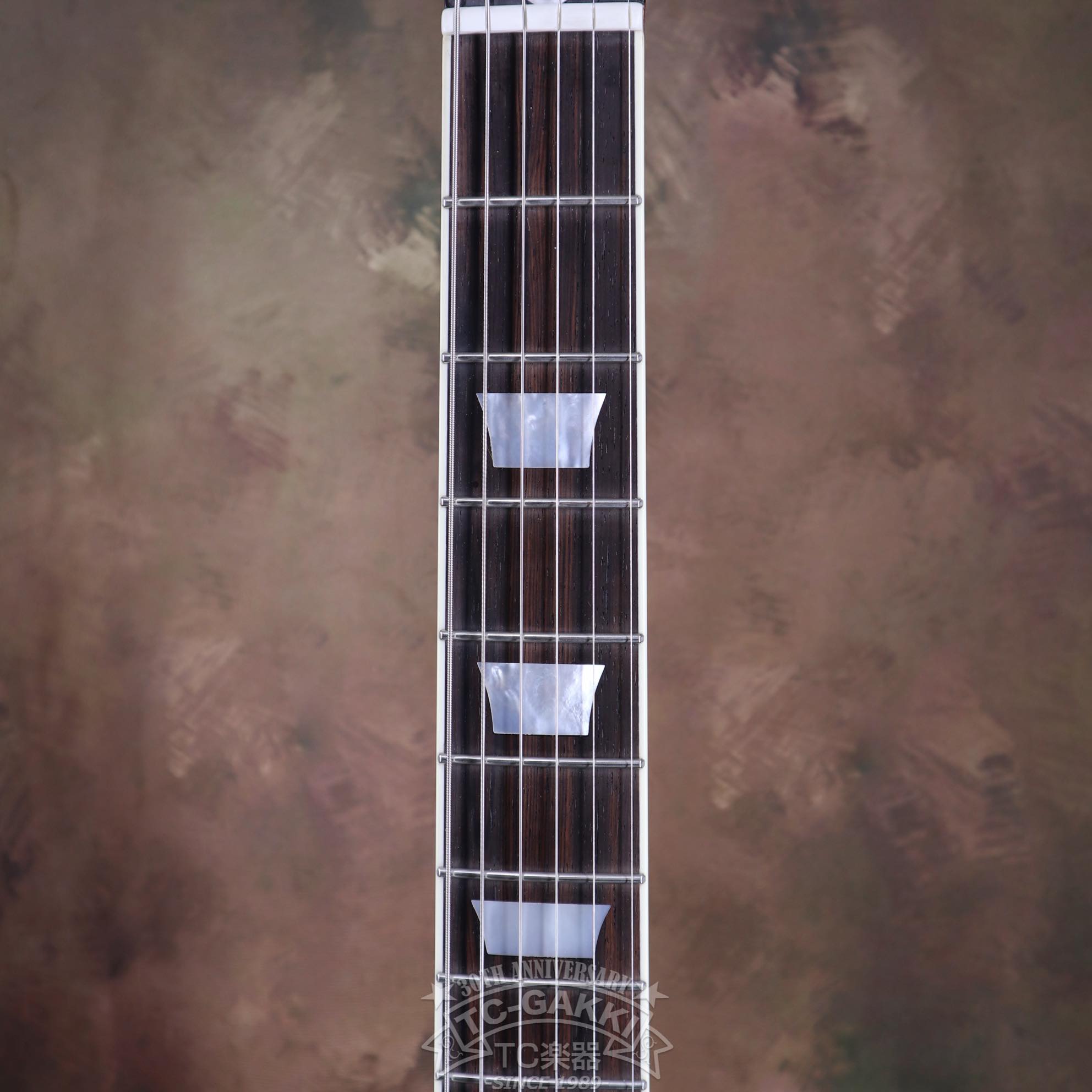 KASHMIR Custom Order - TC楽器 - TCGAKKI