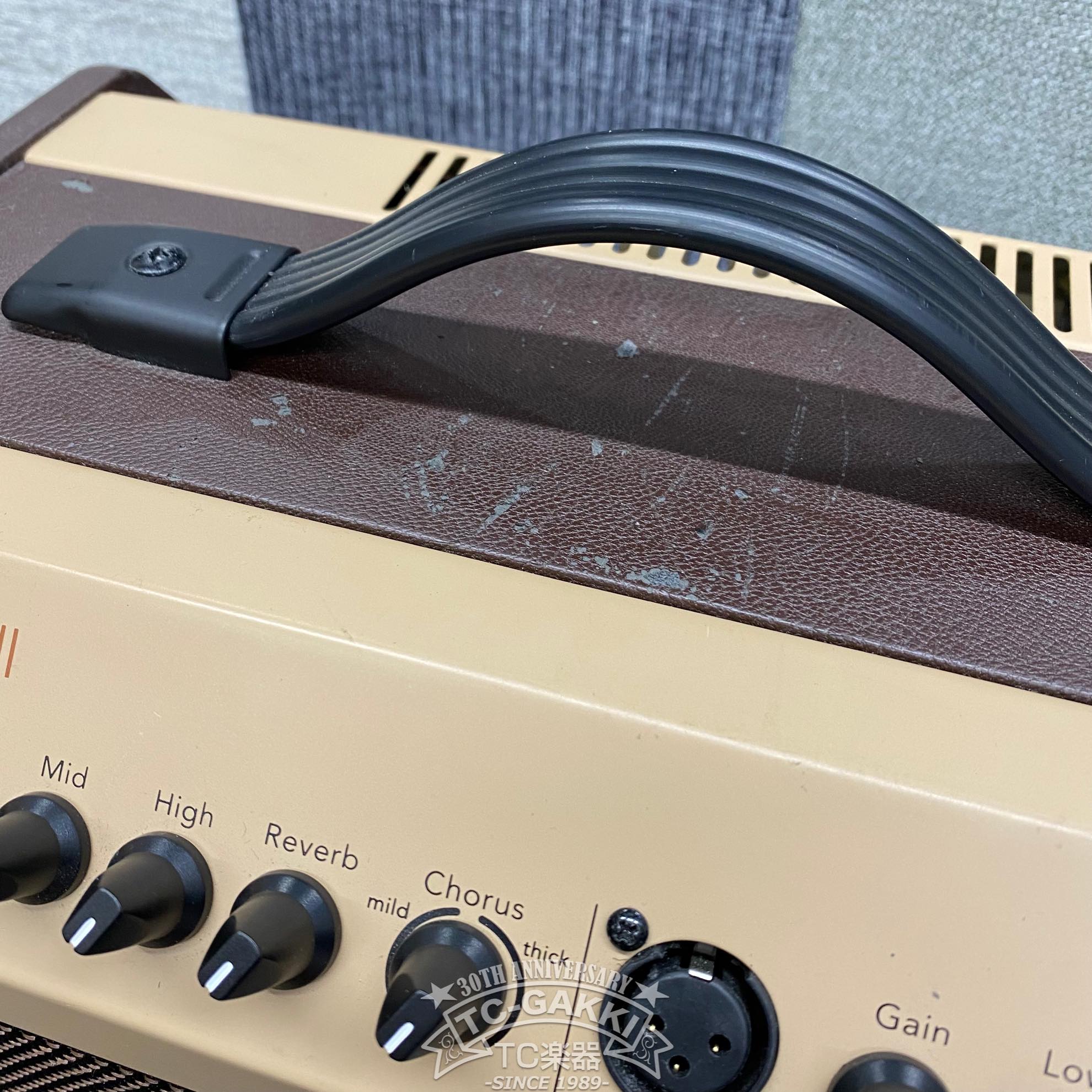 LOUDBOX MINI - TC楽器 - TCGAKKI