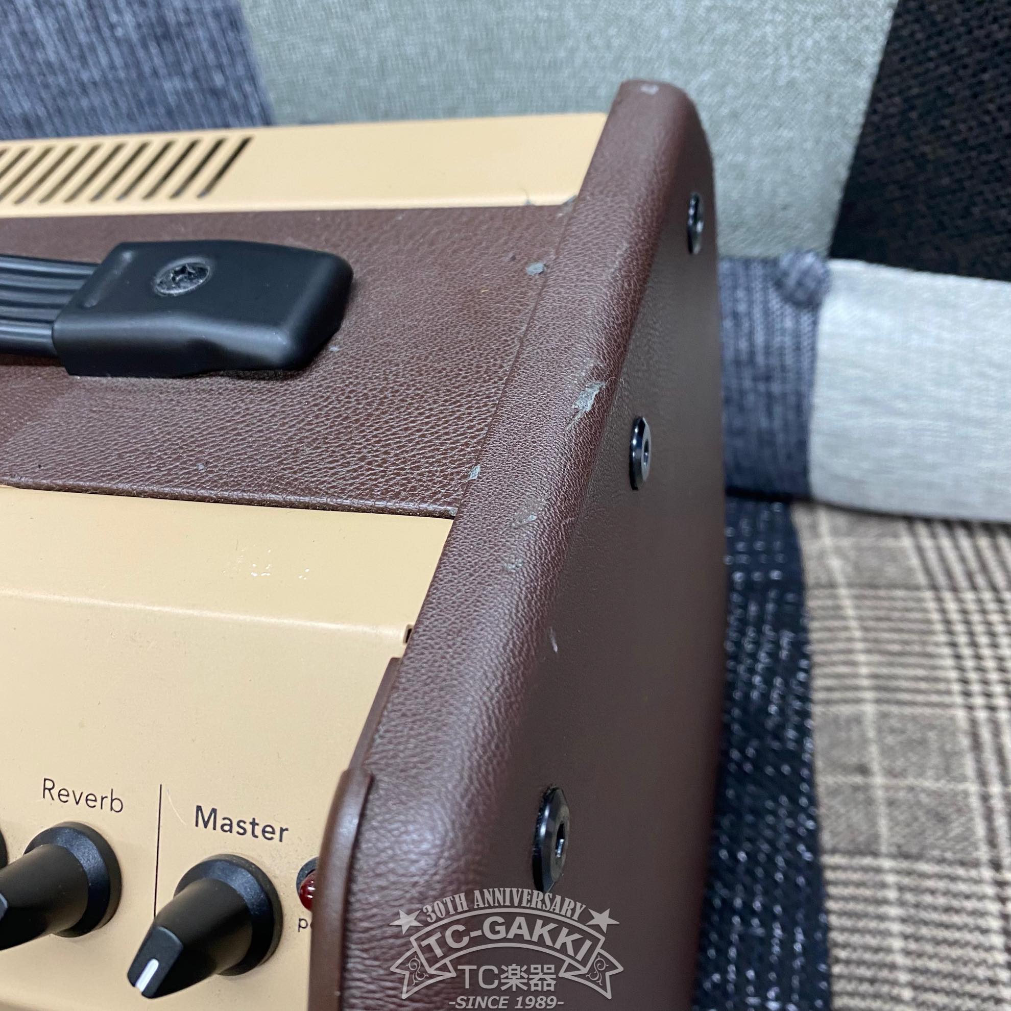 LOUDBOX MINI - TC楽器 - TCGAKKI
