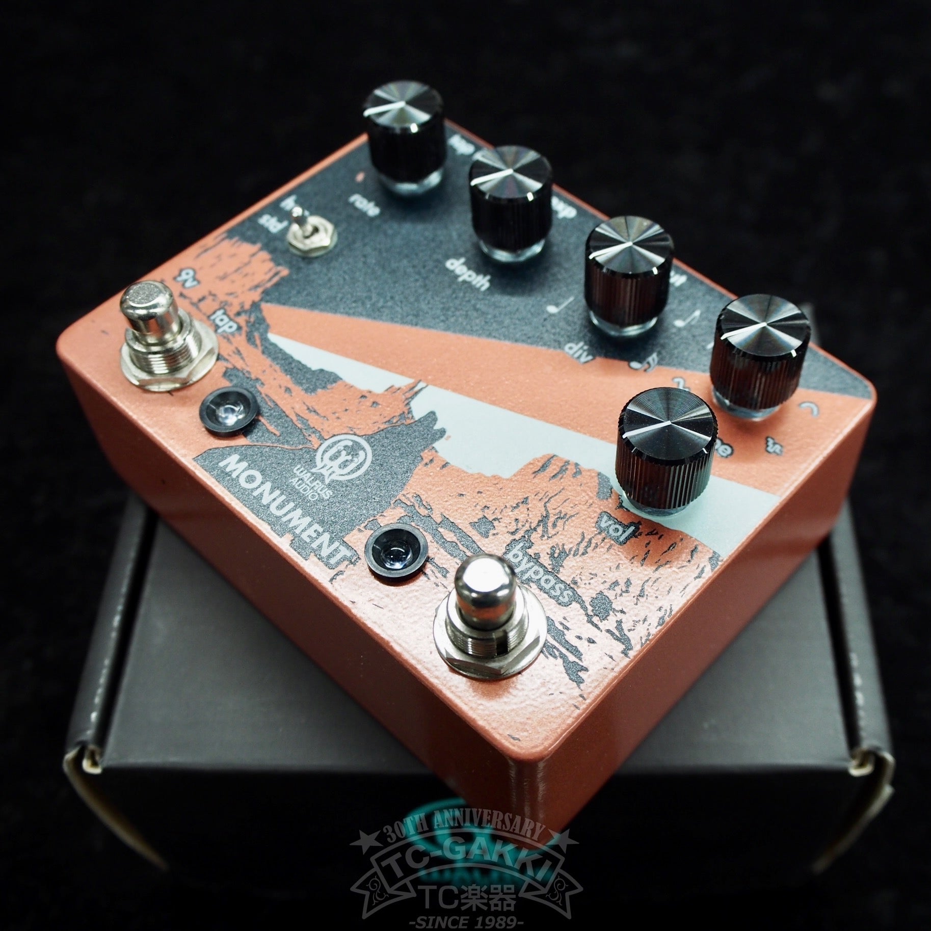 WALRUS AUDIO MONUMENT V1