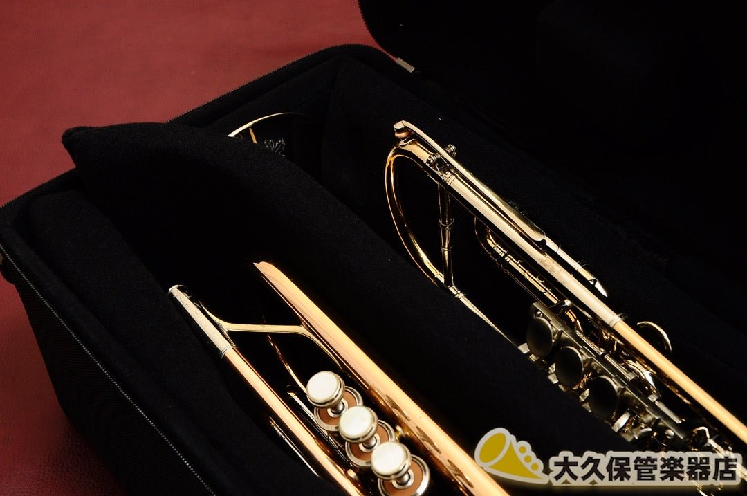 PROTEC IP301D【トランペット2本用】 - TC楽器 - TCGAKKI