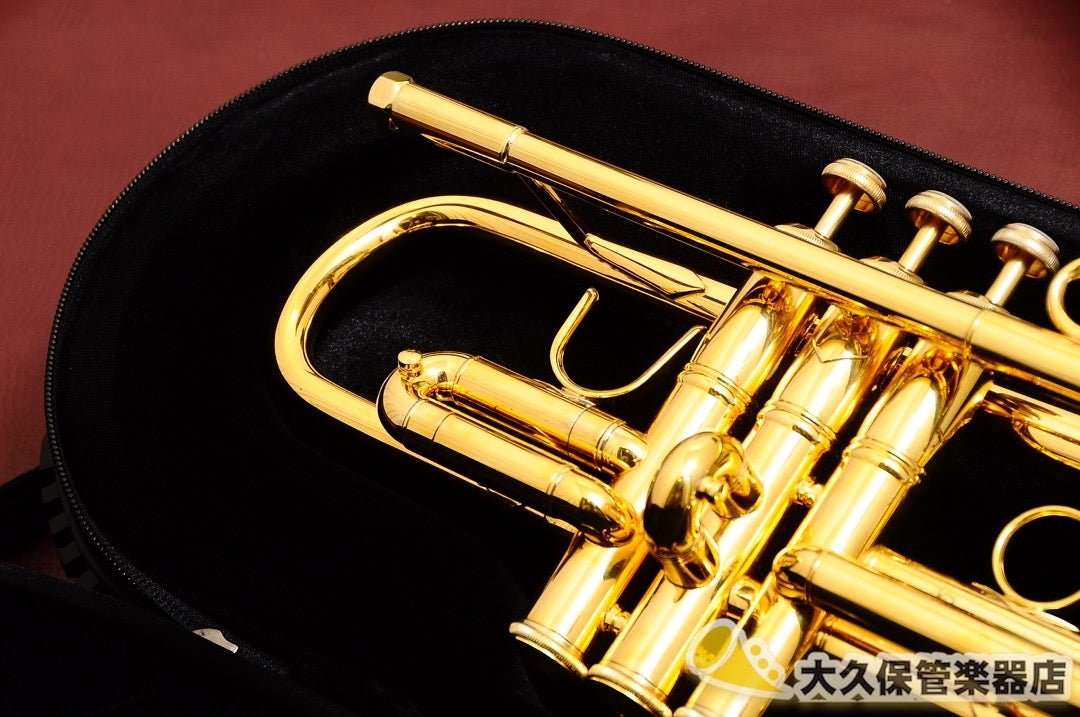 PROTEC:プロテック PB301TL【トランペット1本用】:ブラック - TC楽器 - TCGAKKI