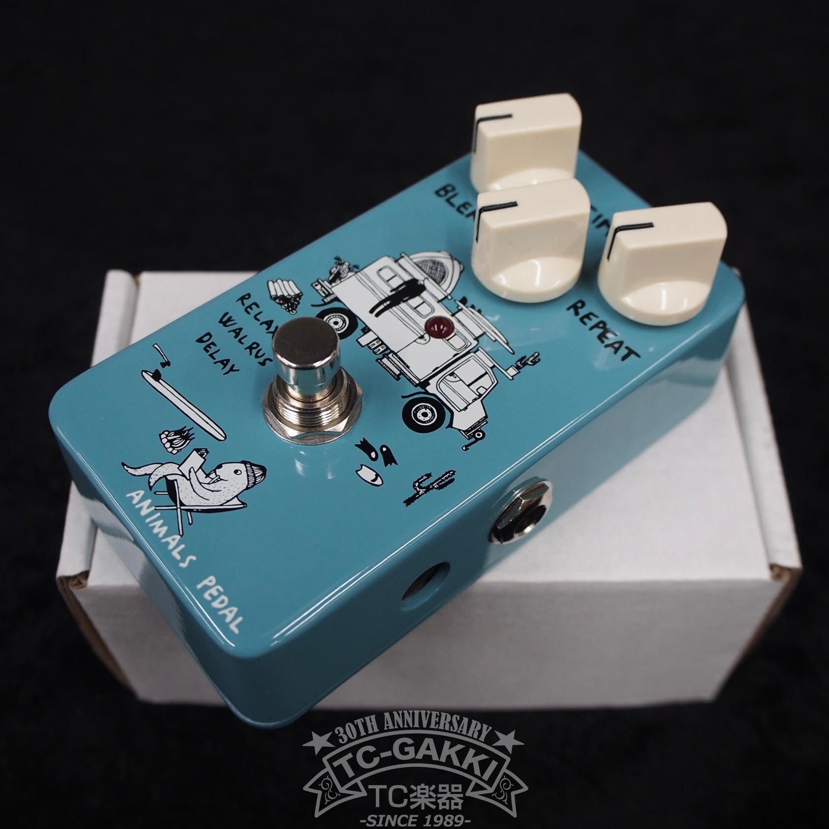 RELAXING WALRUS DELAY