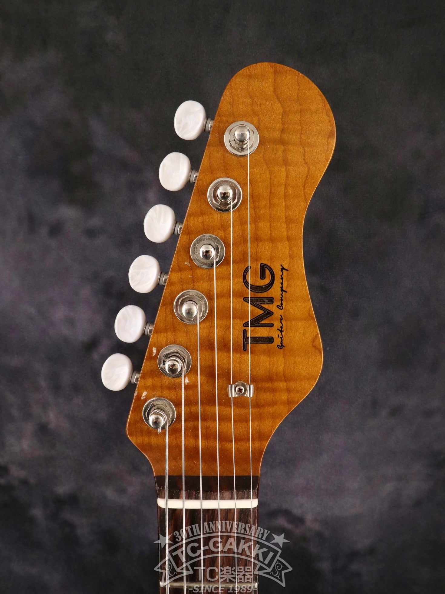 Ronnie Scott Ice Blue Metallic Over Paisley - TC楽器 - TCGAKKI