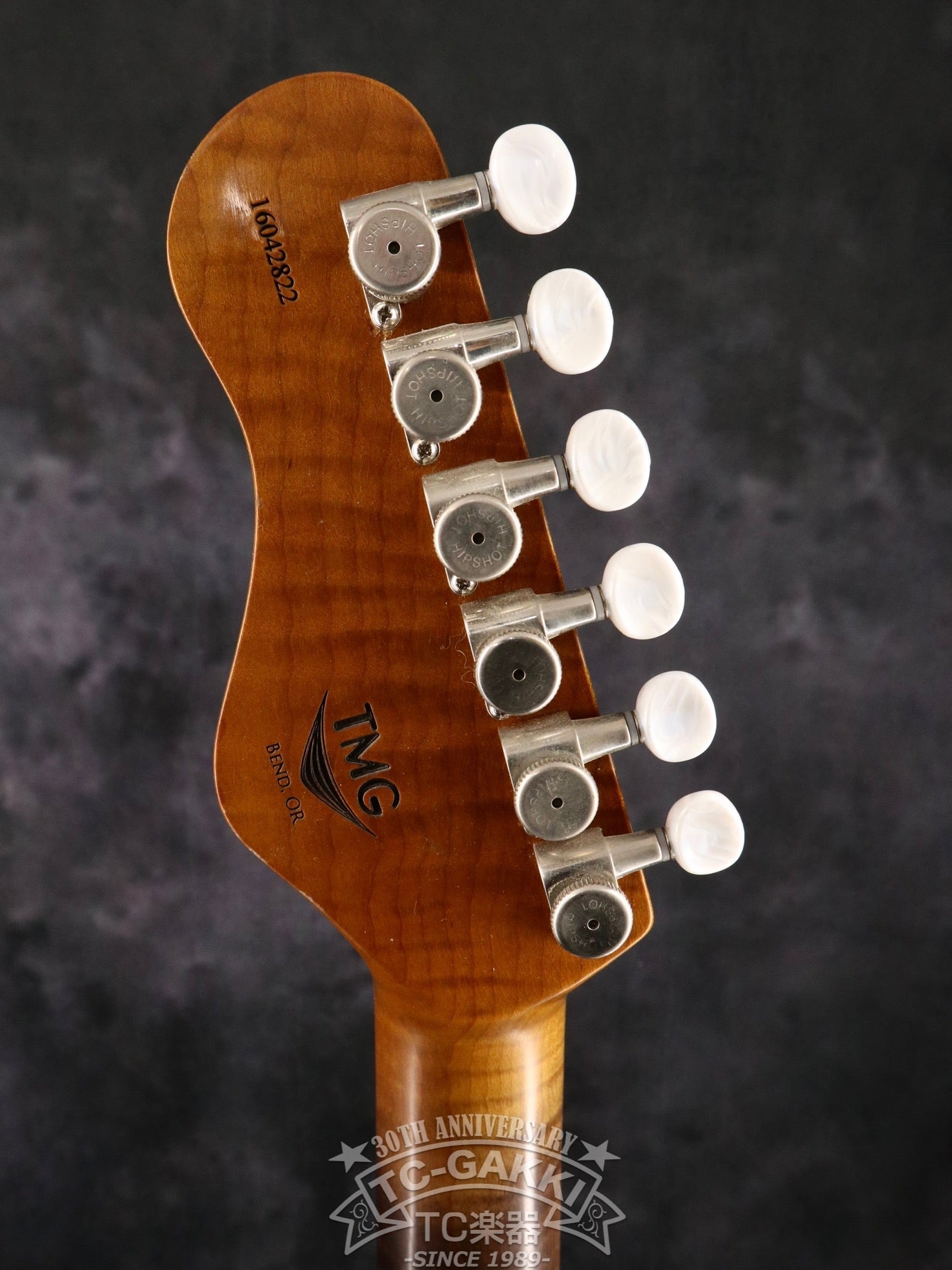 Ronnie Scott Ice Blue Metallic Over Paisley - TC楽器 - TCGAKKI