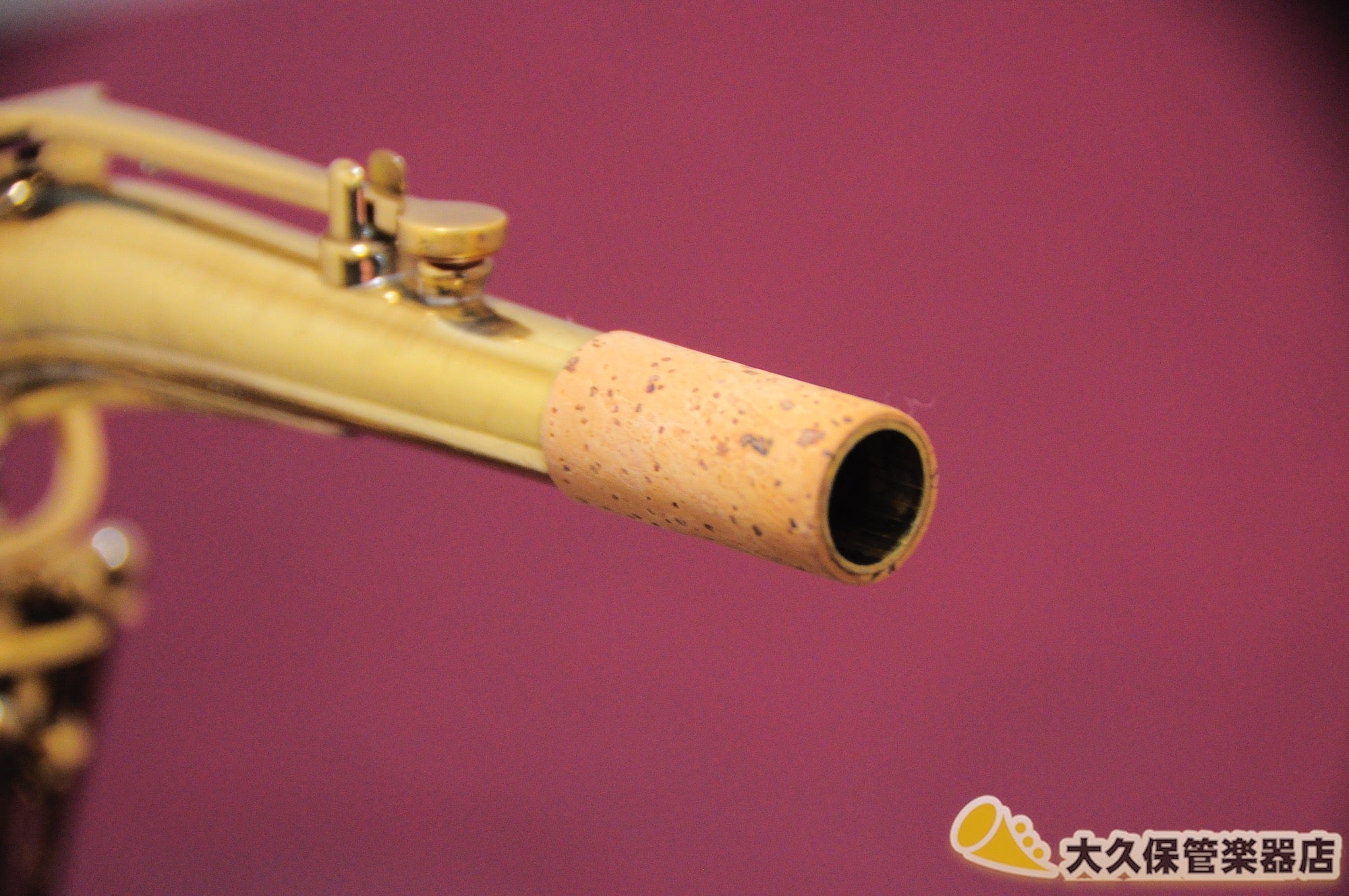 ビュッフェ・クランポン S1 アルトサクソフォン - TC楽器 - TCGAKKI