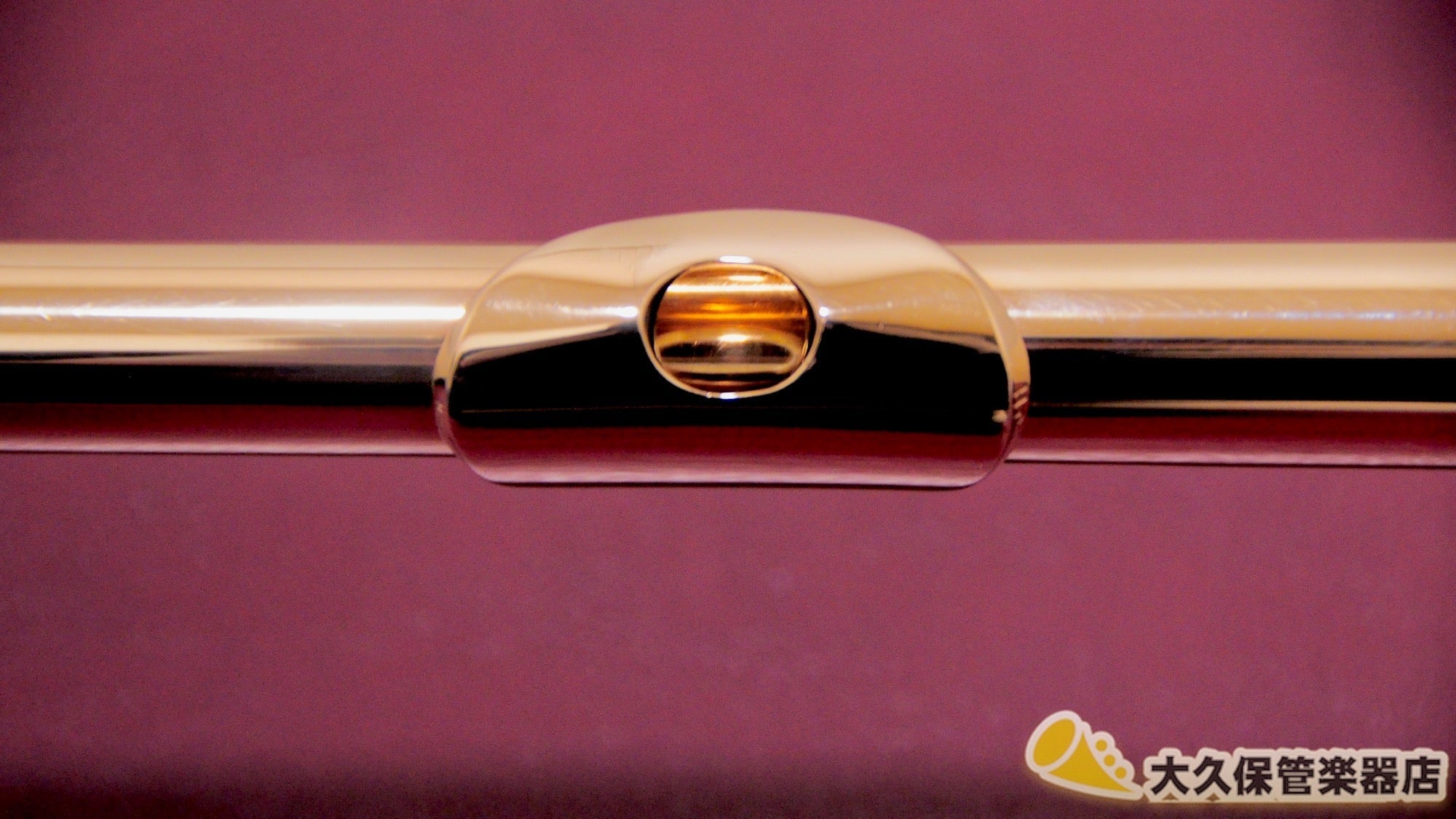 ヨハネス・ハンミッヒ Silver Handmade 14K GOLD Head ハンドメイドフルート - TC楽器 - TCGAKKI