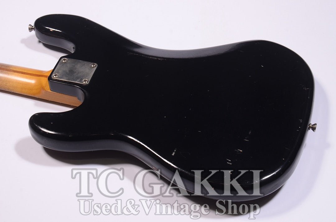 STETSON - TC楽器 - TCGAKKI