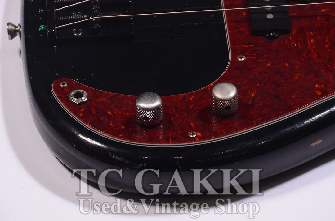 STETSON - TC楽器 - TCGAKKI