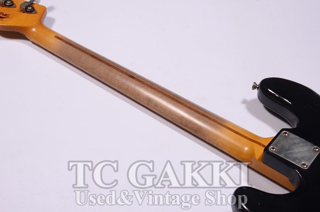 STETSON - TC楽器 - TCGAKKI