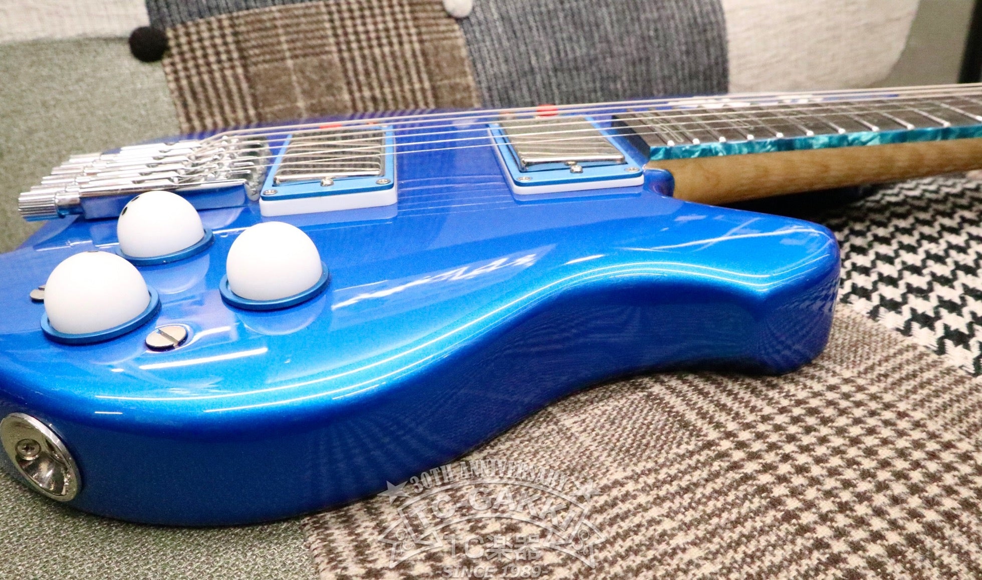 TACHIKOMA GT Gloss Blue Binding - TC楽器 - TCGAKKI