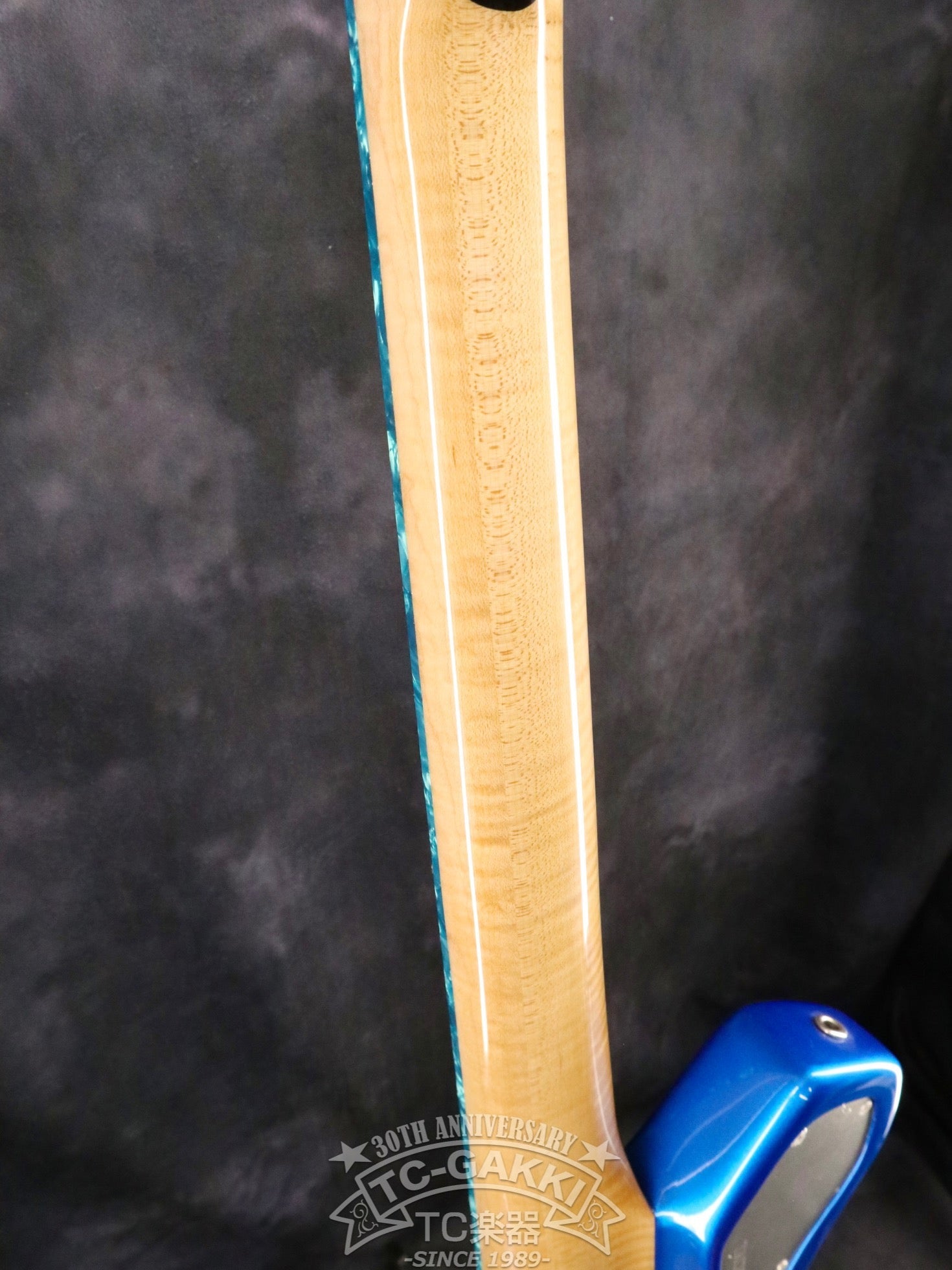 TACHIKOMA GT Gloss Blue Binding - TC楽器 - TCGAKKI