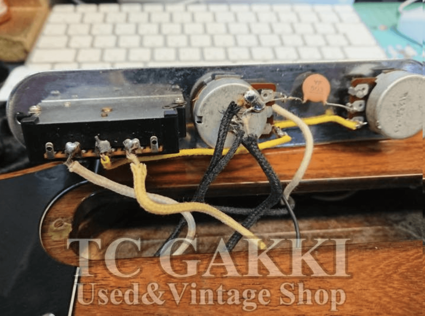 TL69 “All Rose Telecaster” - TC楽器 - TCGAKKI