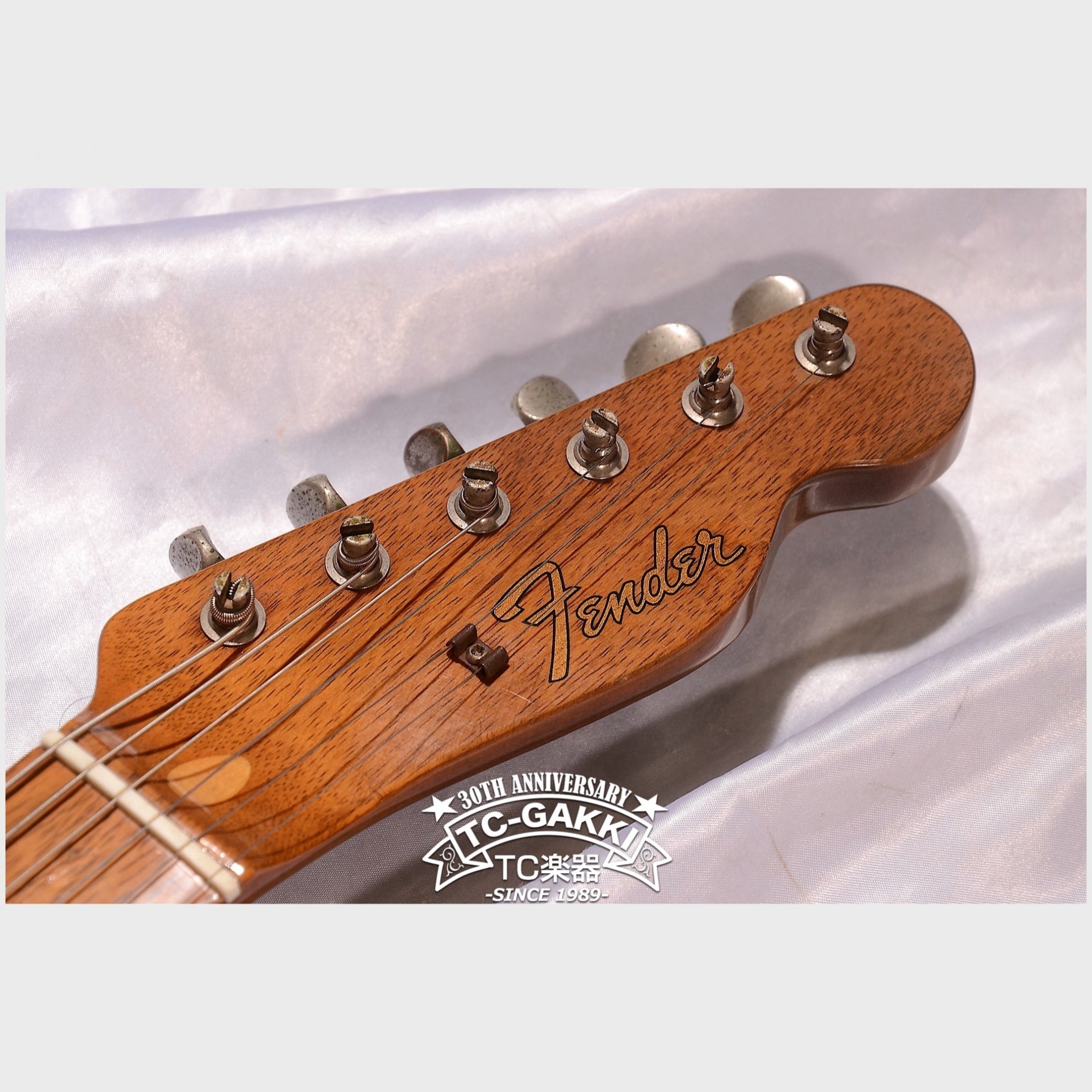 TL69 “All Rose Telecaster” - TC楽器 - TCGAKKI