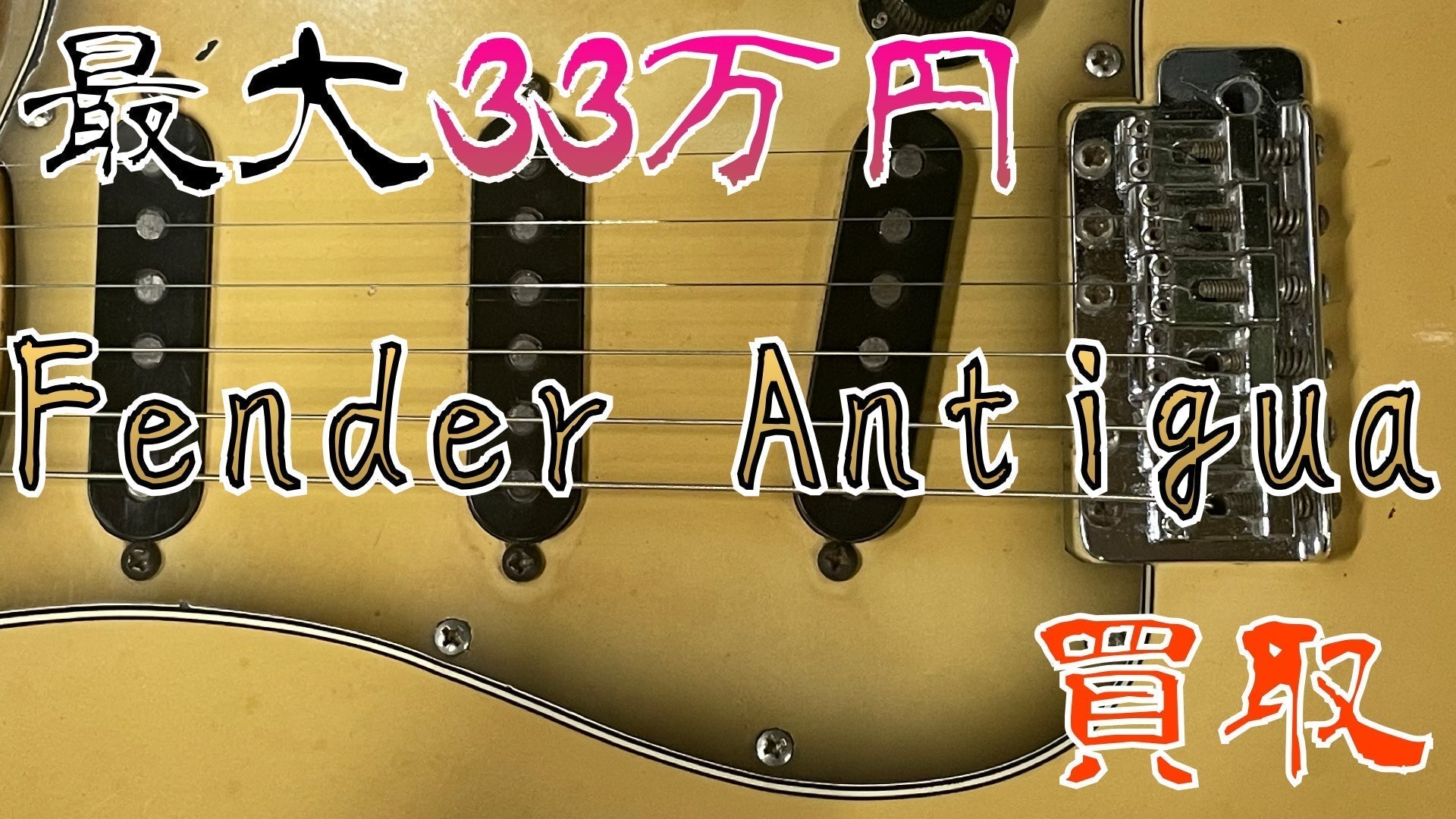 【2023年6月】Fender Antigua買取強化キャンペーン - TC楽器 - TCGAKKI