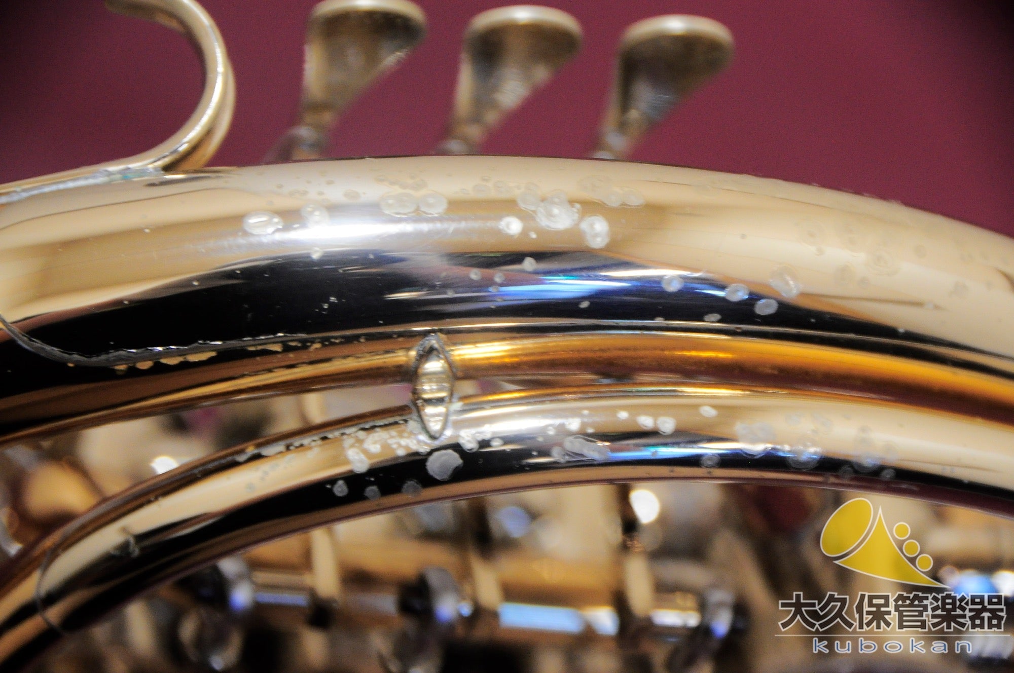アレキサンダー 103GBL /Bell with Nickel silver garland フルダブルホルン - TC楽器 - TCGAKKI
