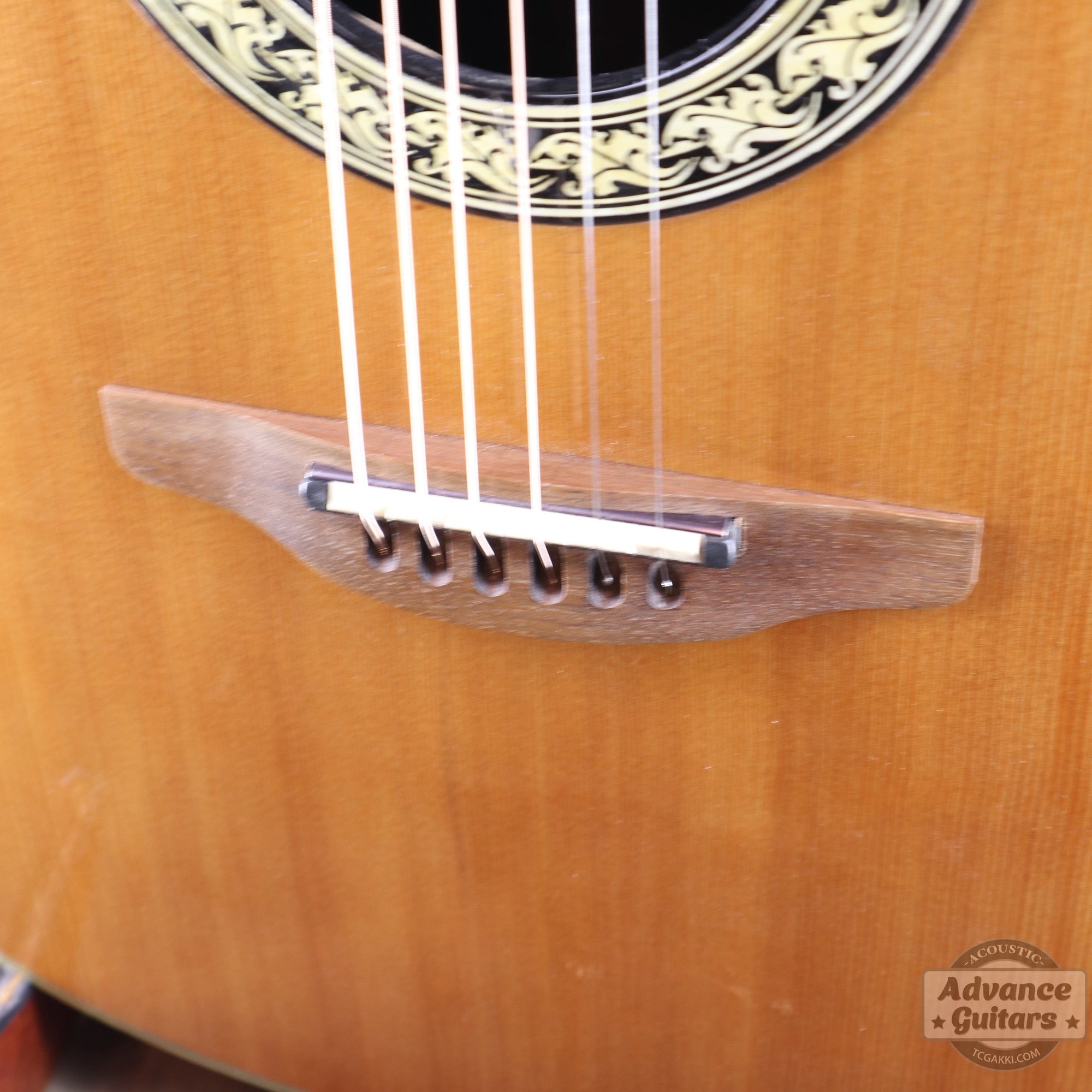 1627 - 4 GLEN CAMPBELL - TC楽器 - TCGAKKI