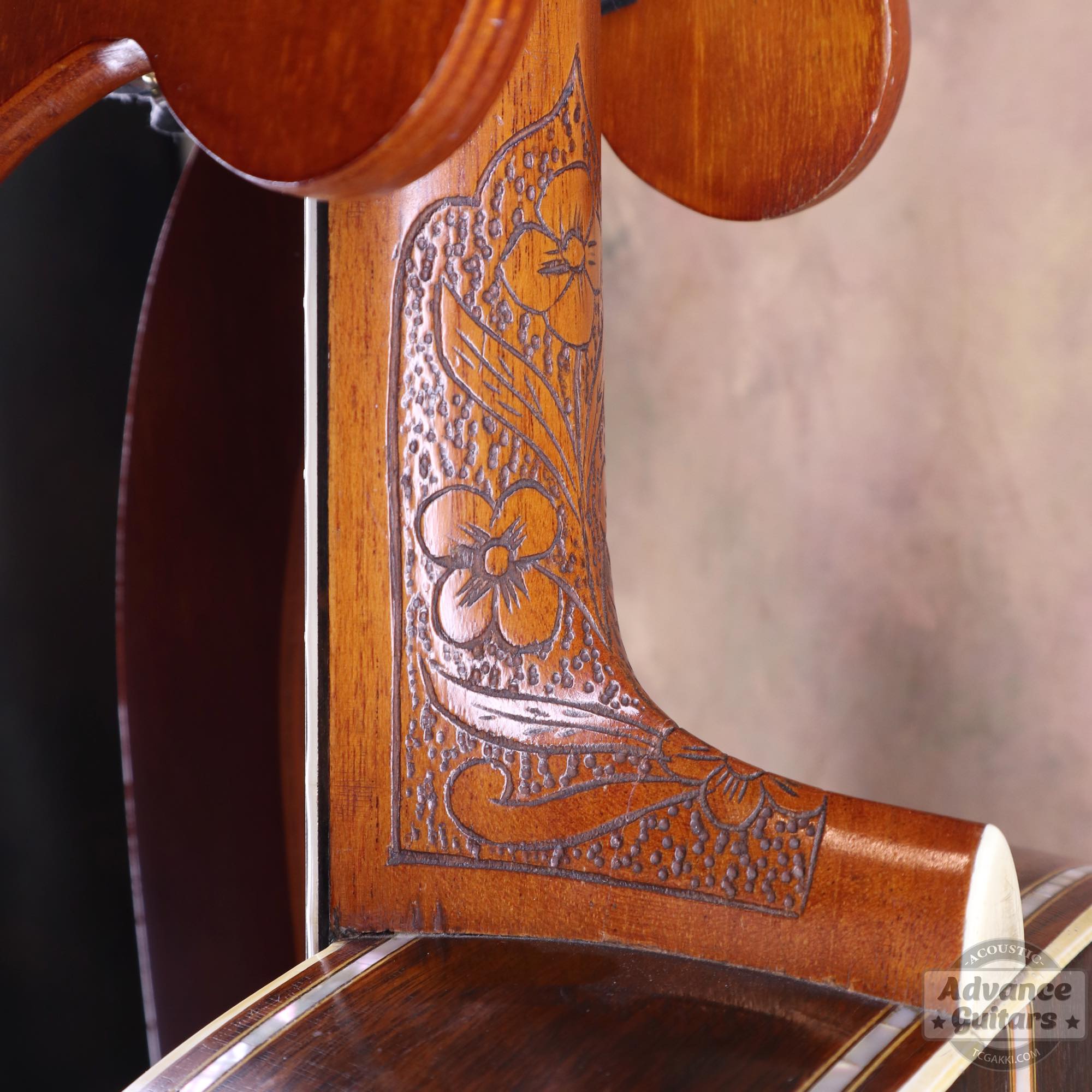 1900s Parlor - TC楽器 - TCGAKKI