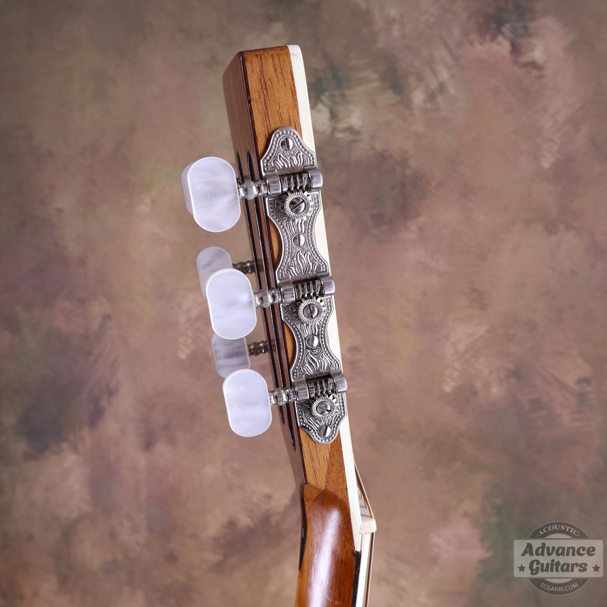 1900s Parlor - TC楽器 - TCGAKKI