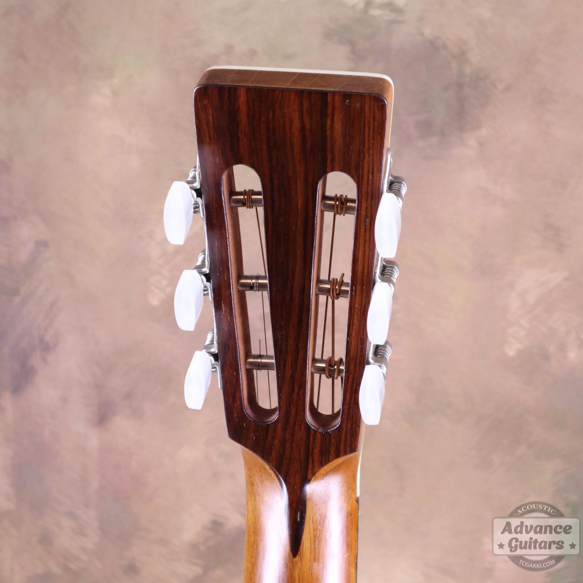 1900s Parlor - TC楽器 - TCGAKKI