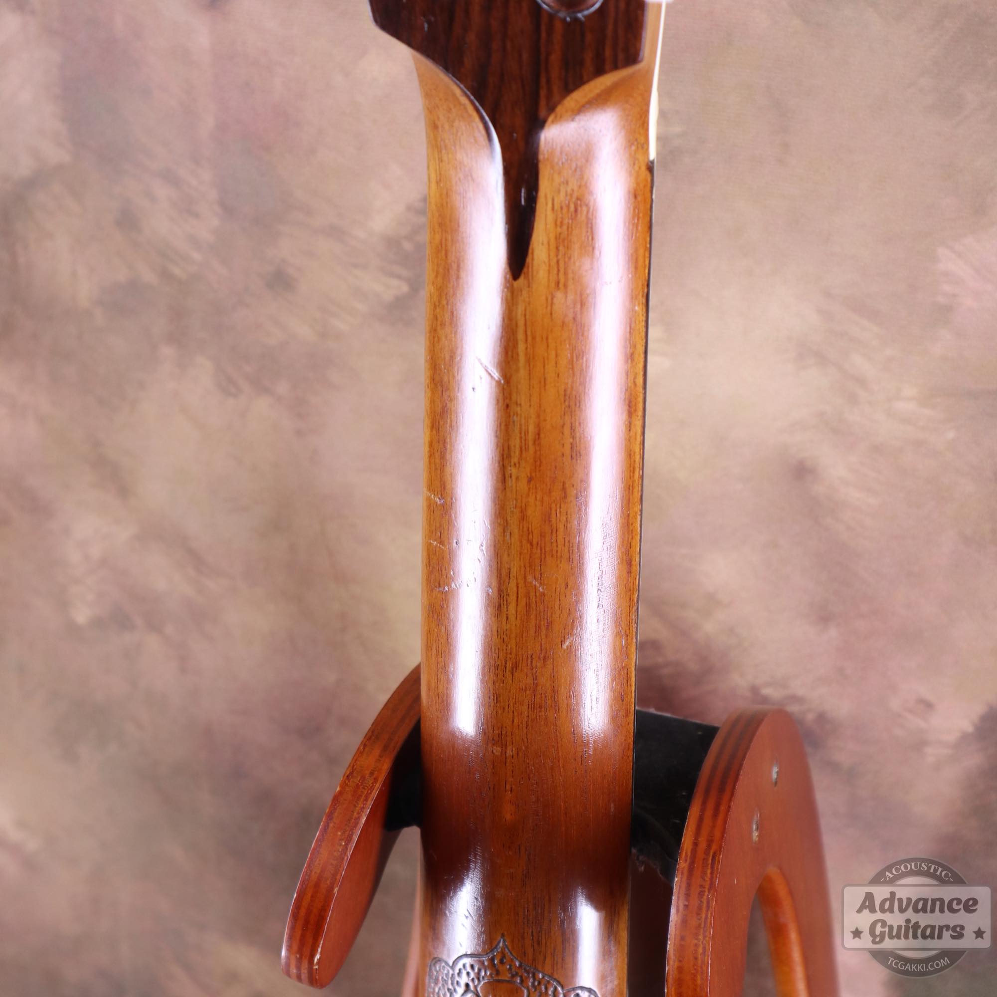 1900s Parlor - TC楽器 - TCGAKKI