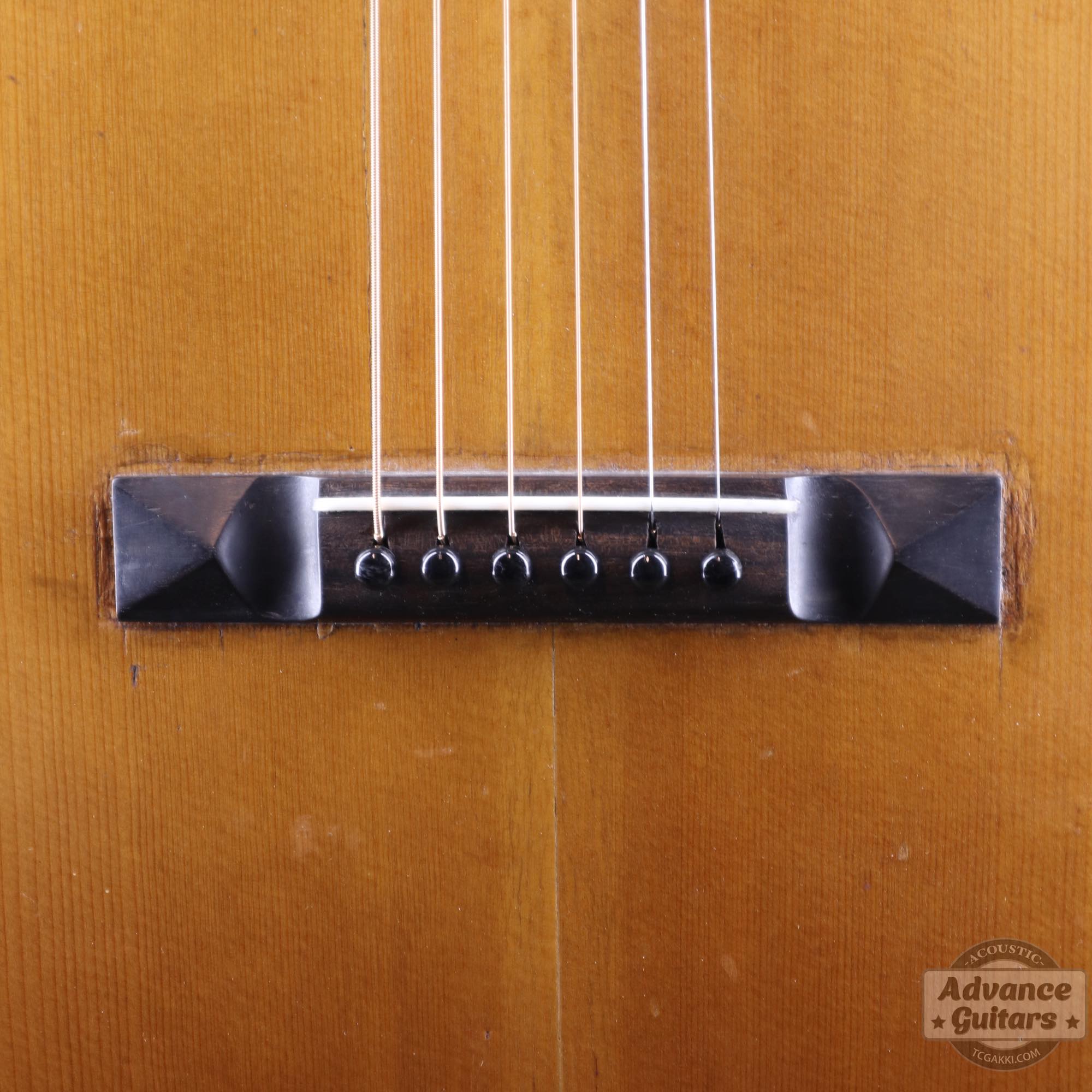 1900s Parlor - TC楽器 - TCGAKKI