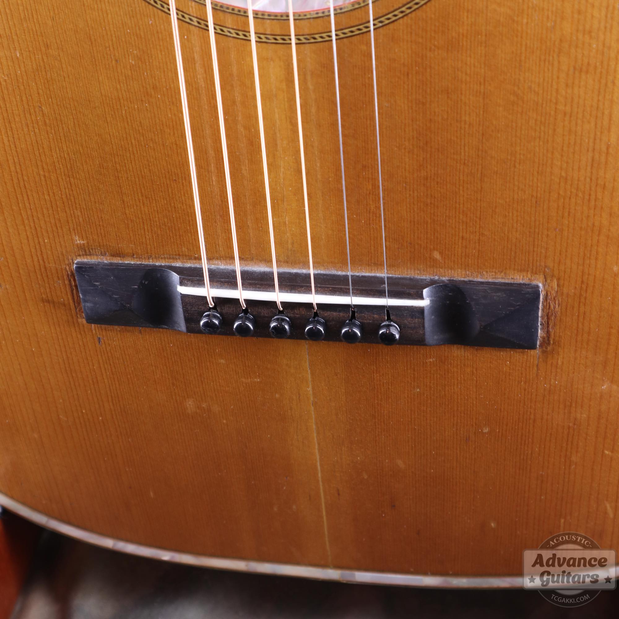 1900s Parlor - TC楽器 - TCGAKKI