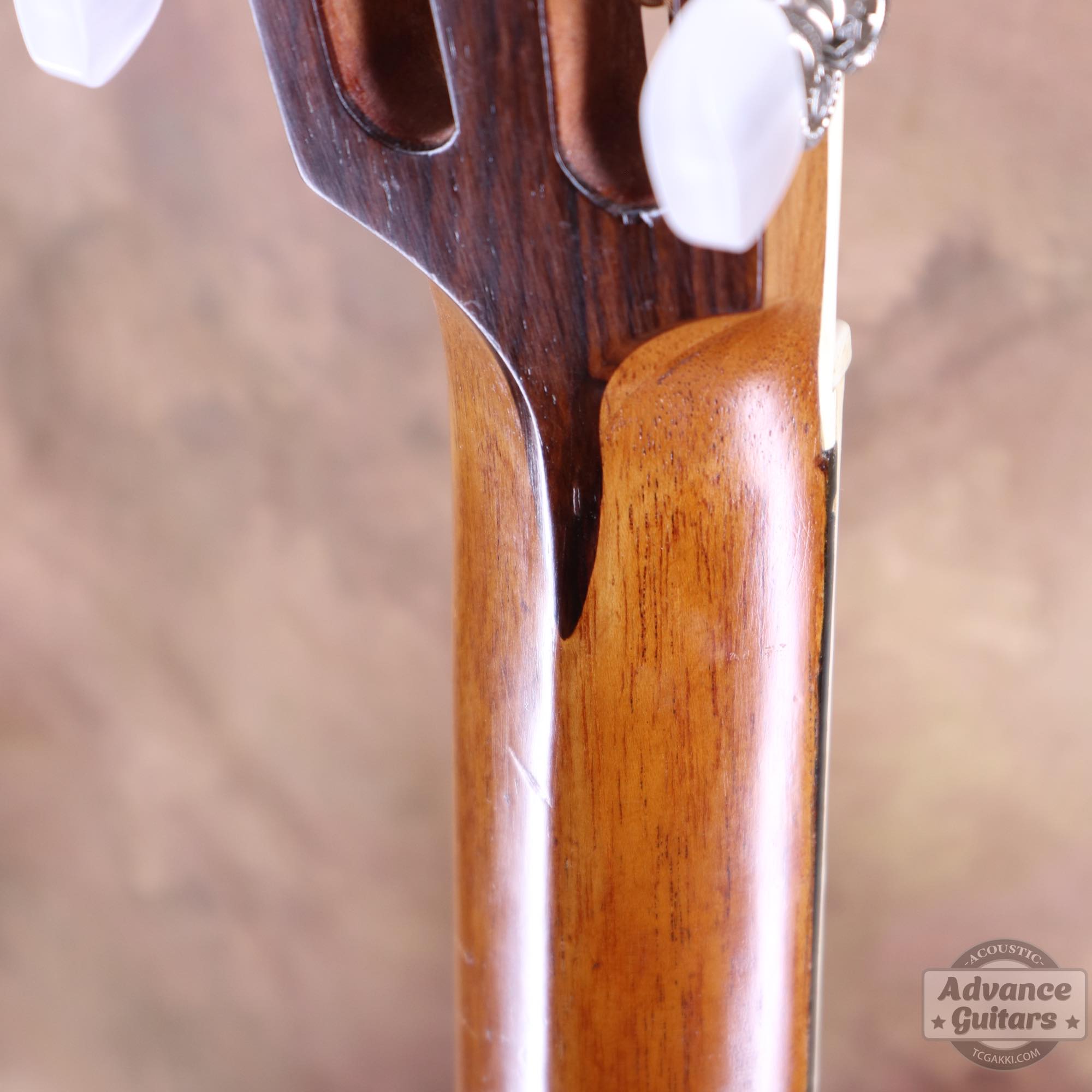 1900s Parlor - TC楽器 - TCGAKKI