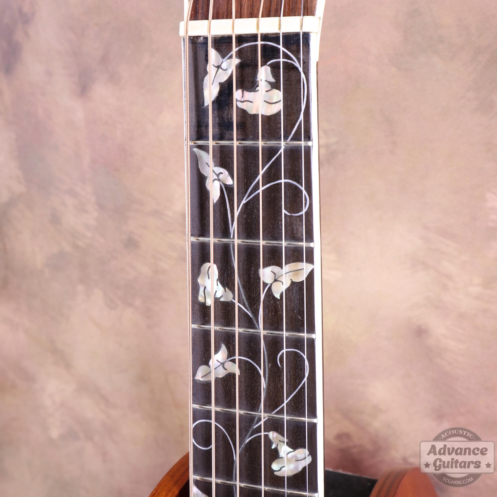 1900s Parlor - TC楽器 - TCGAKKI