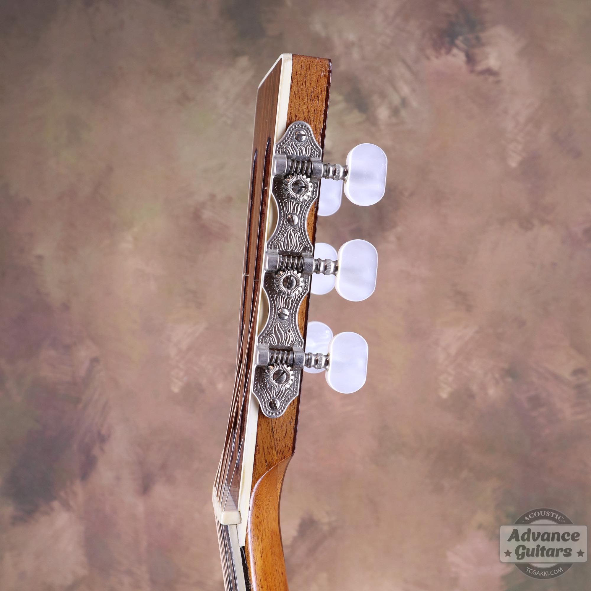 1900s Parlor - TC楽器 - TCGAKKI