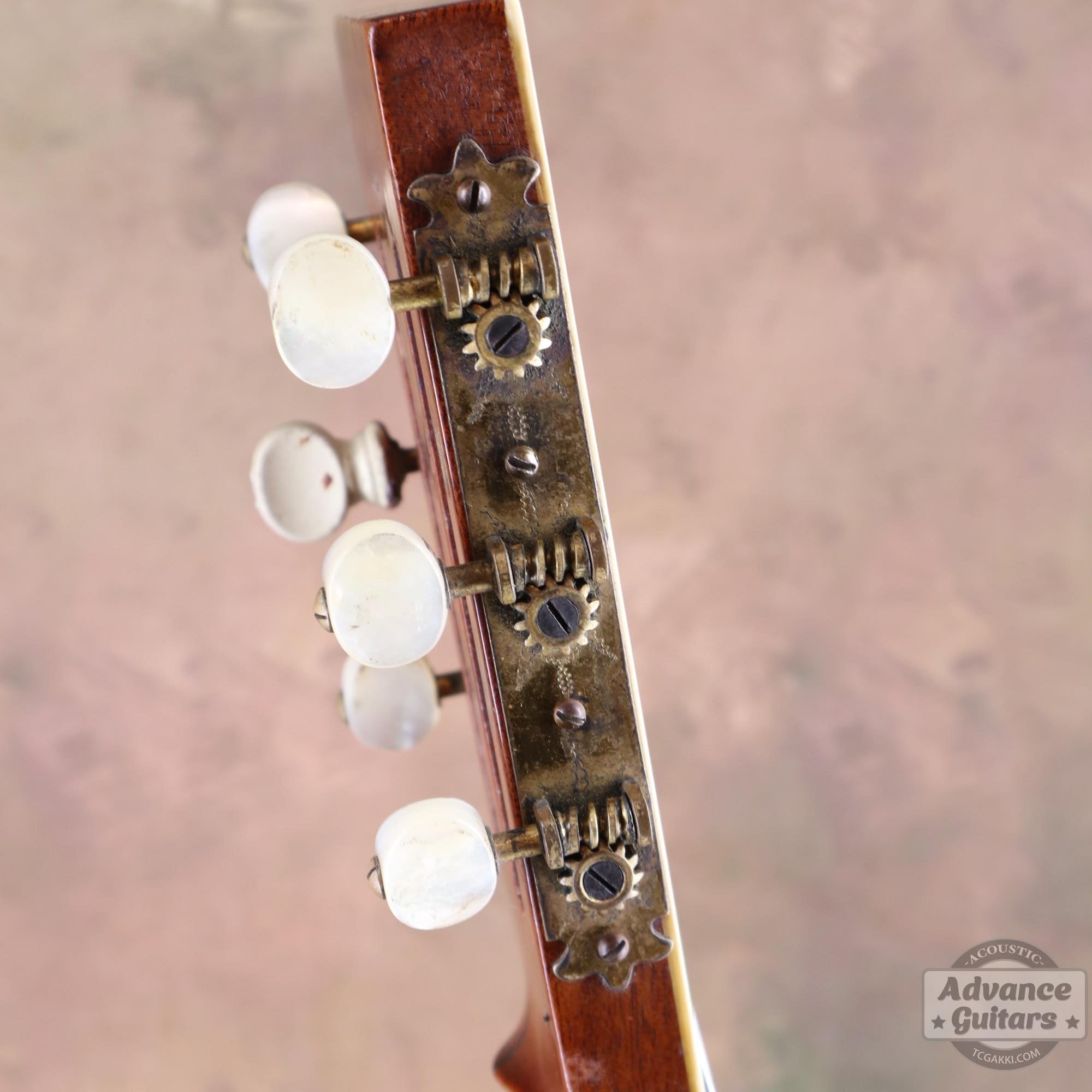 1920's Grand Concert Guitar - TC楽器 - TCGAKKI