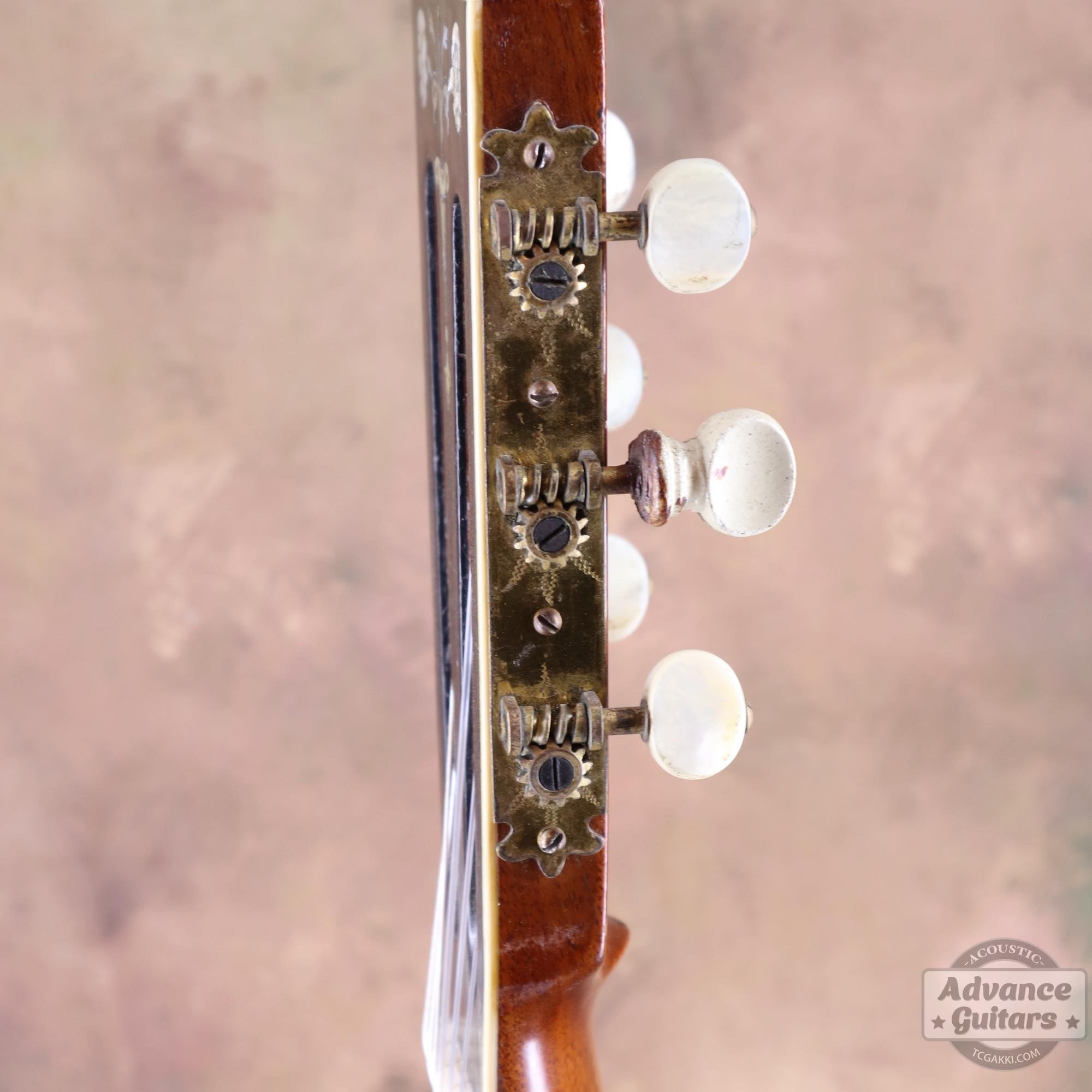 1920's Grand Concert Guitar - TC楽器 - TCGAKKI