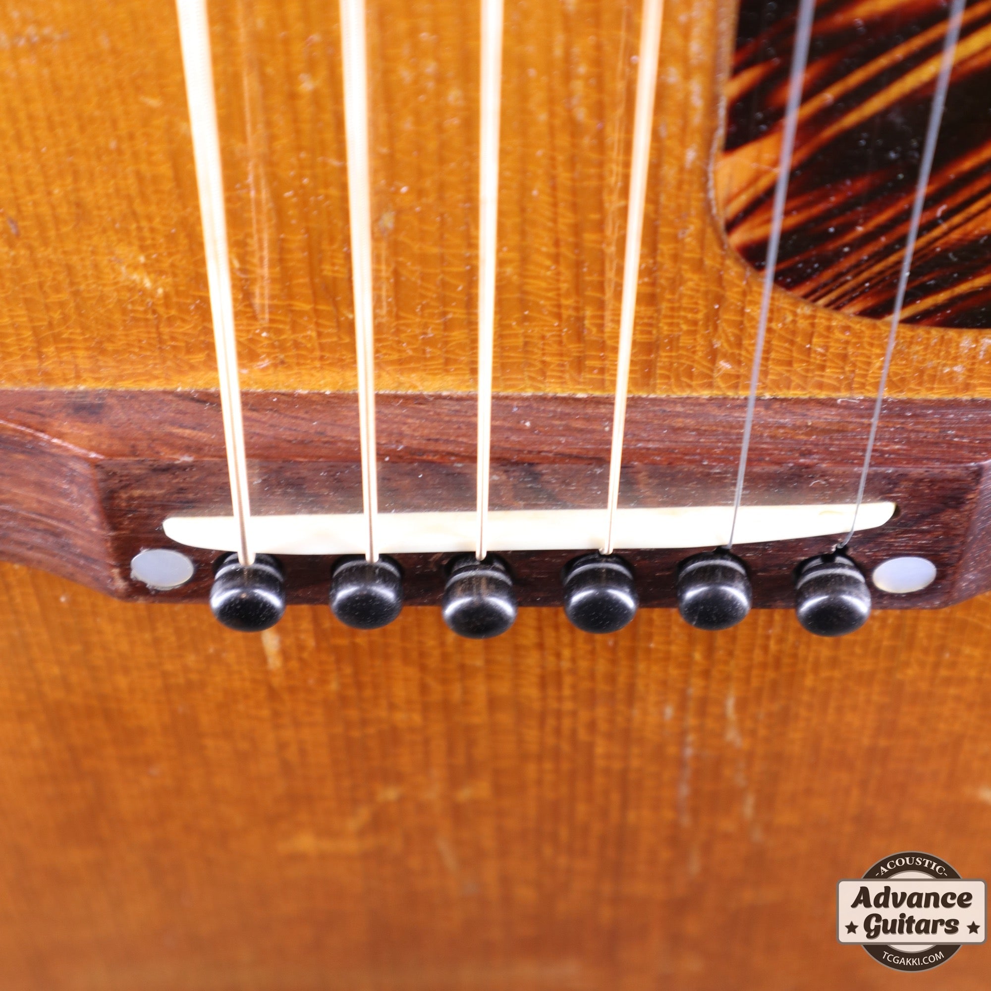 1936年製 Roy Smeck Radio Grande Conversion - TC楽器 - TCGAKKI