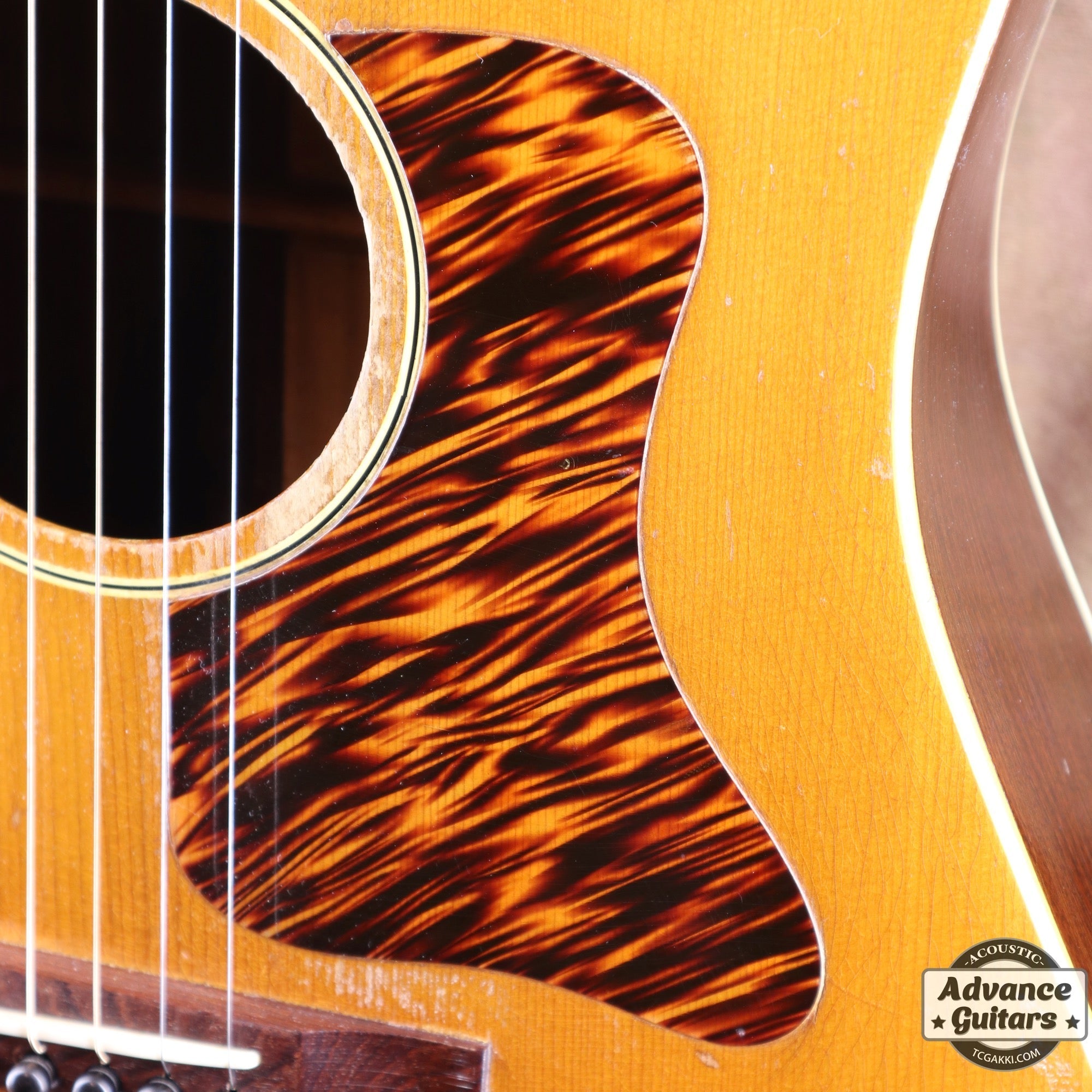 1936年製 Roy Smeck Radio Grande Conversion - TC楽器 - TCGAKKI