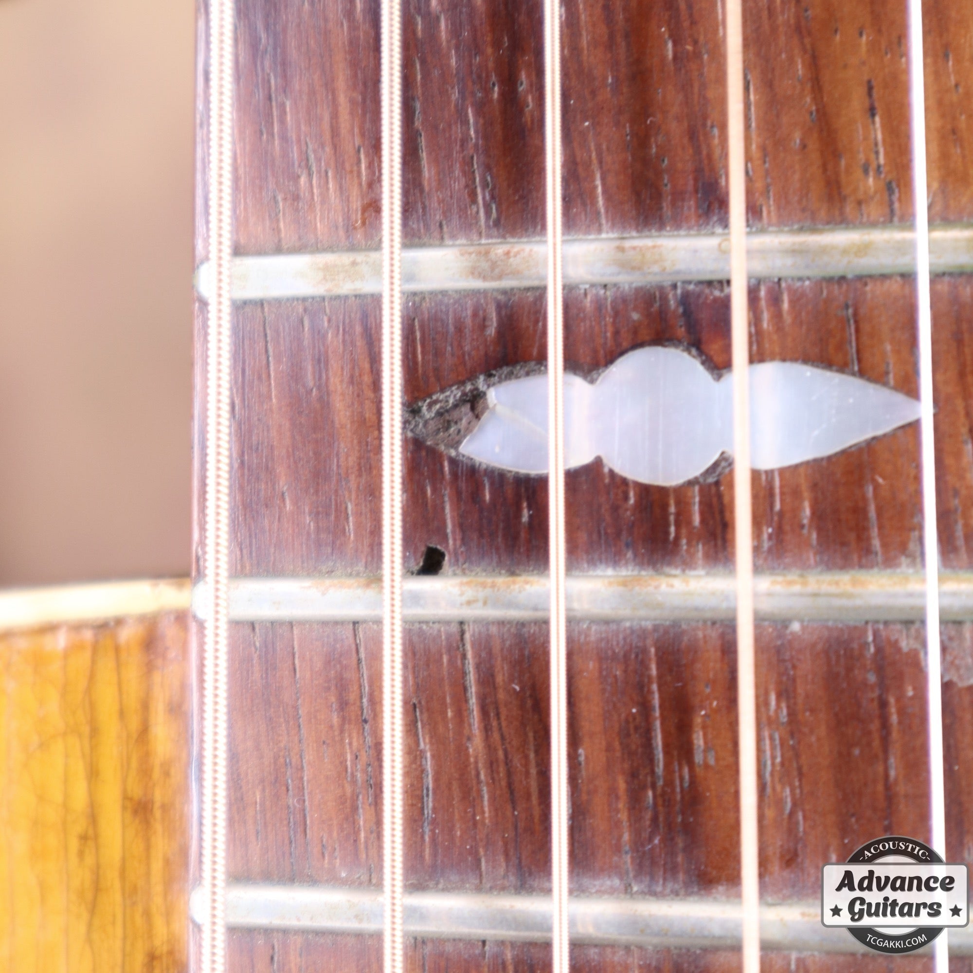 1936年製 Roy Smeck Radio Grande Conversion - TC楽器 - TCGAKKI