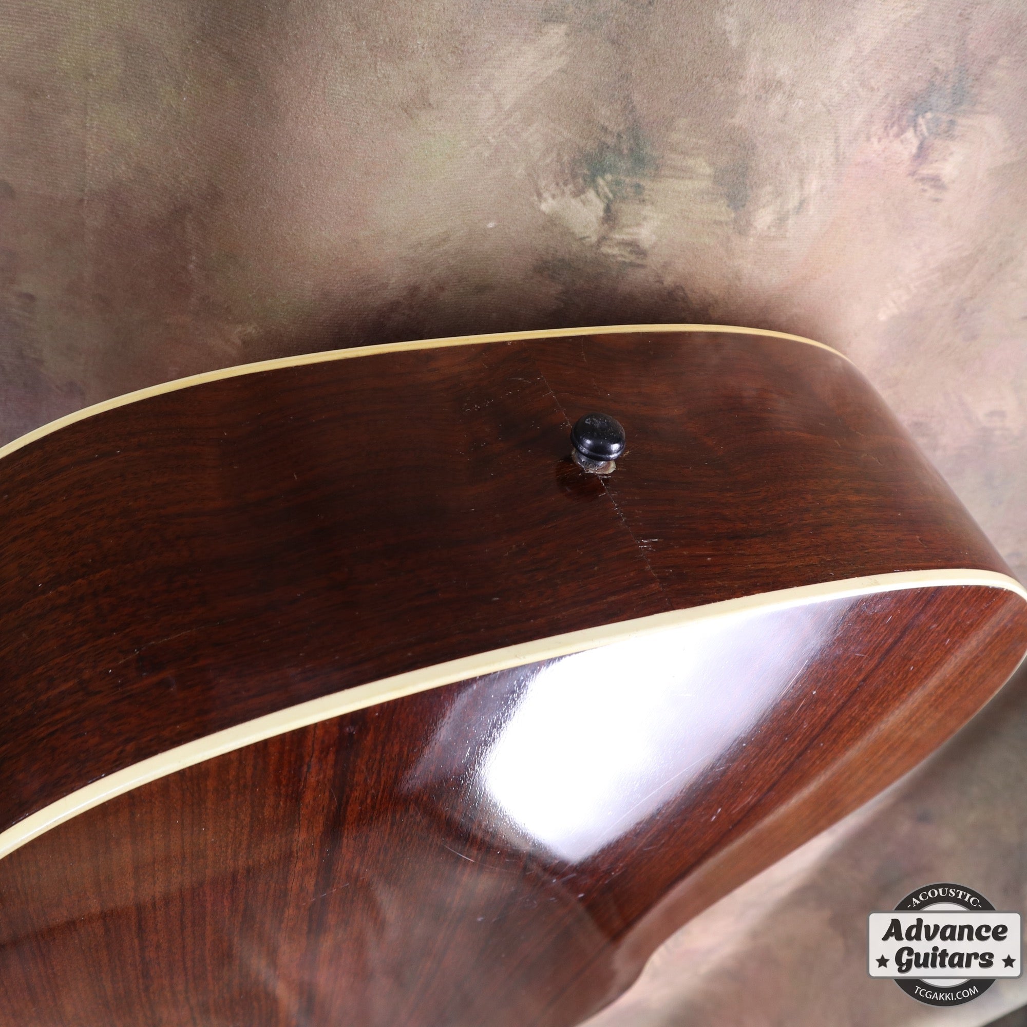 1936年製 Roy Smeck Radio Grande Conversion - TC楽器 - TCGAKKI