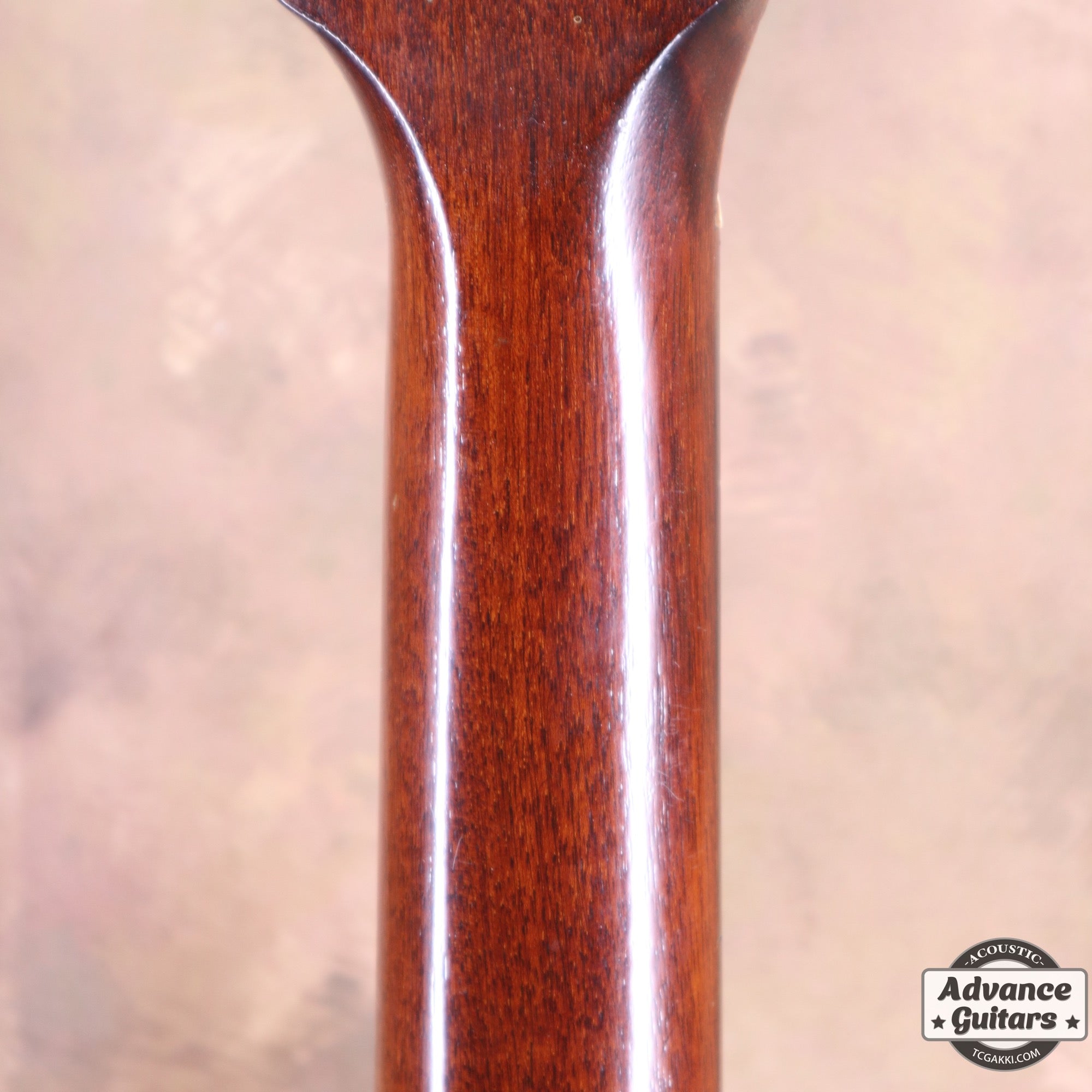 1936年製 Roy Smeck Radio Grande Conversion - TC楽器 - TCGAKKI