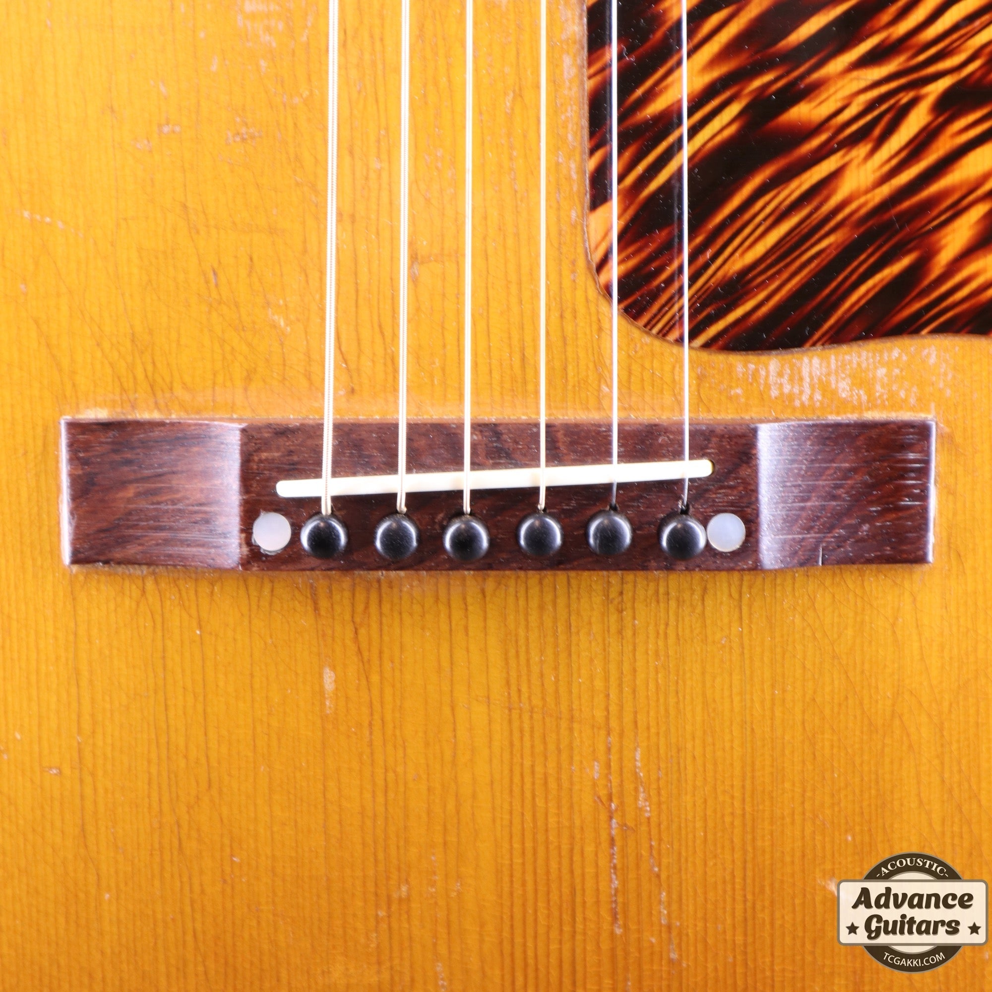 1936年製 Roy Smeck Radio Grande Conversion - TC楽器 - TCGAKKI