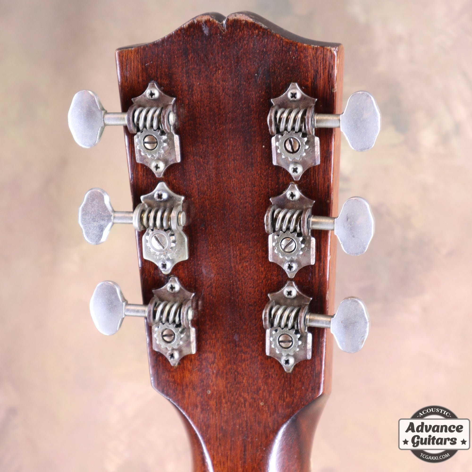 1936年製 Roy Smeck Radio Grande Conversion - TC楽器 - TCGAKKI