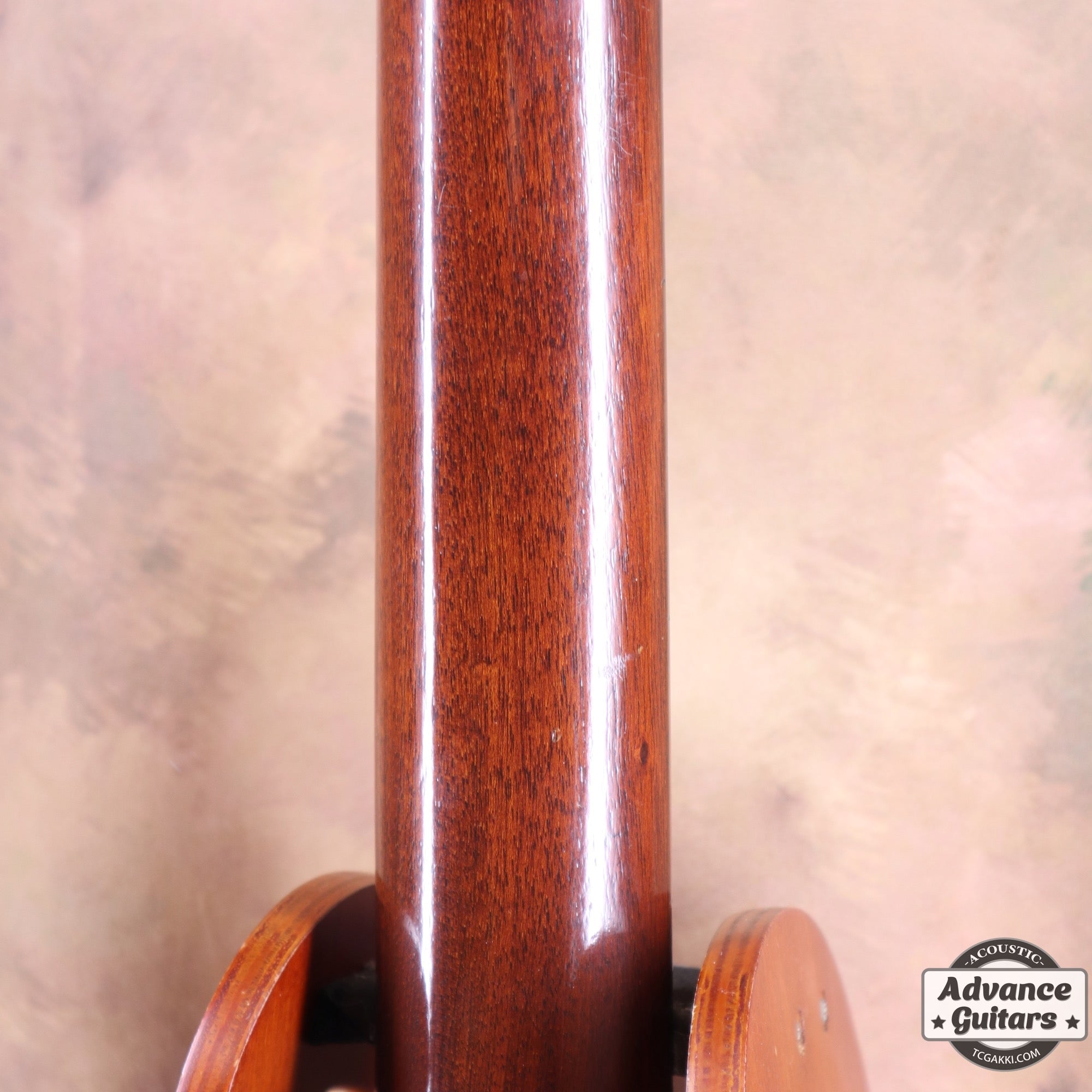 1936年製 Roy Smeck Radio Grande Conversion - TC楽器 - TCGAKKI