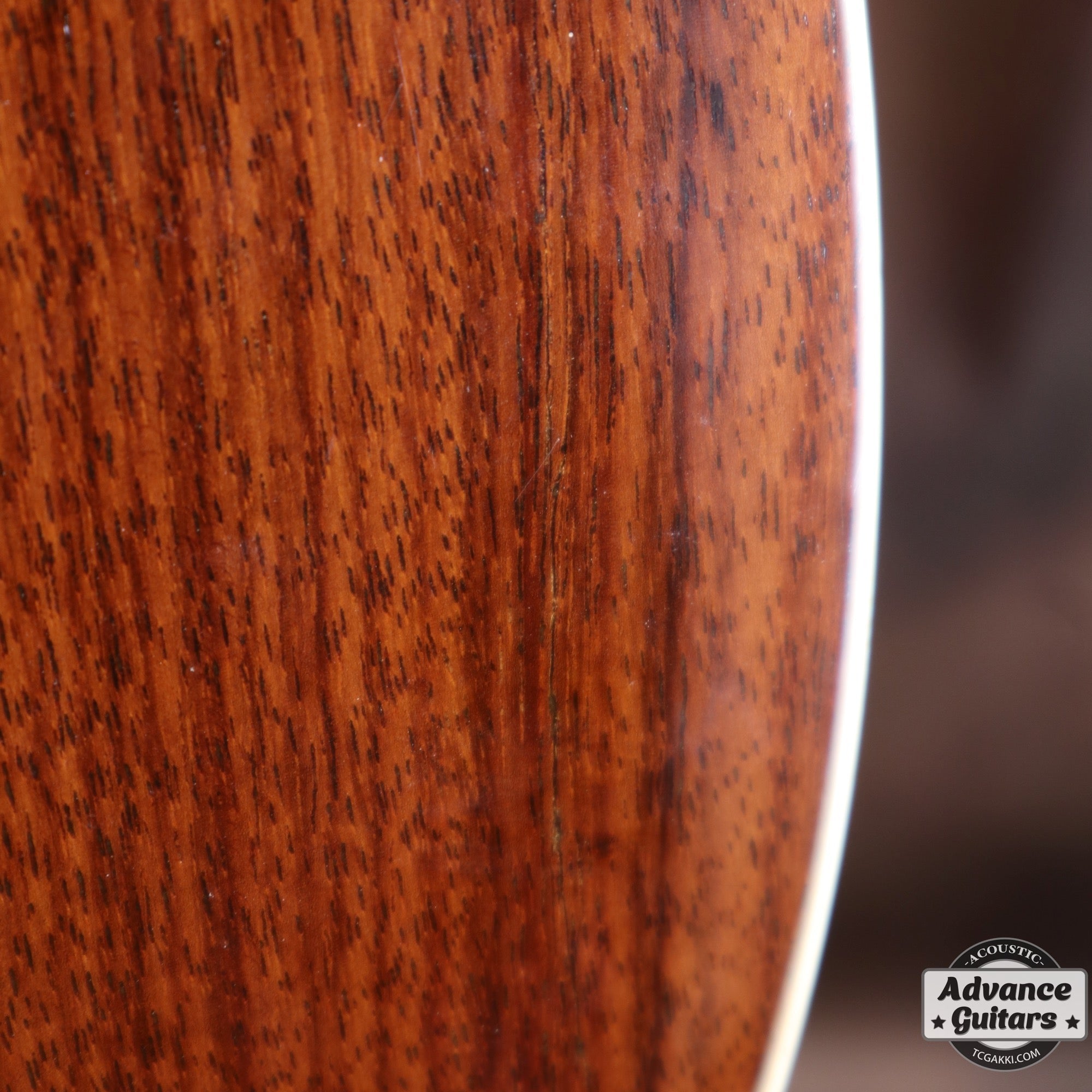 1936年製 Roy Smeck Radio Grande Conversion - TC楽器 - TCGAKKI