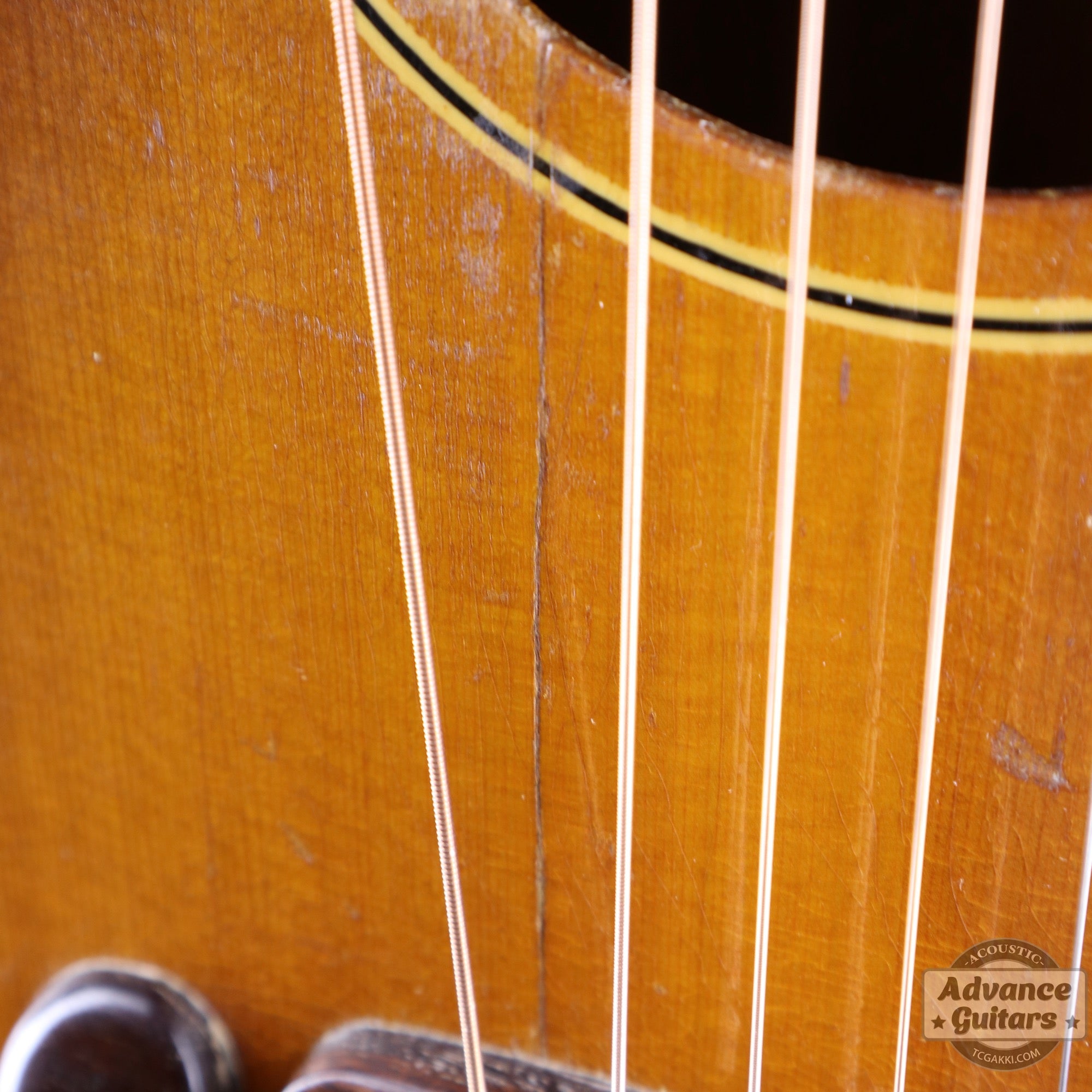 1940s JUMBO - 55 - TC楽器 - TCGAKKI