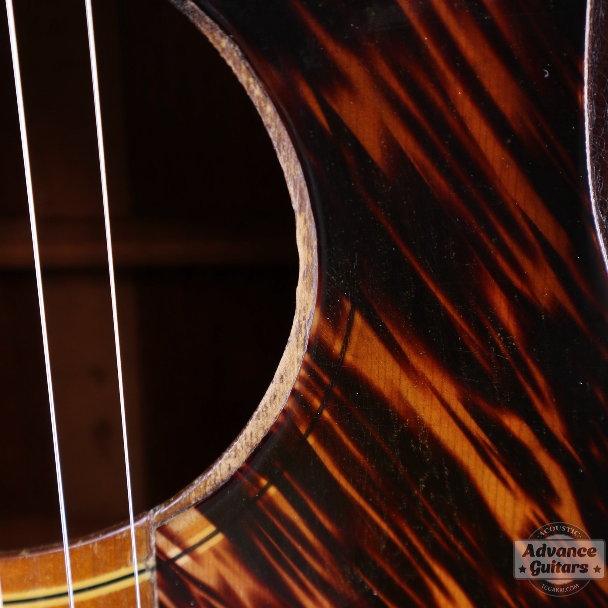 1940s JUMBO - 55 - TC楽器 - TCGAKKI