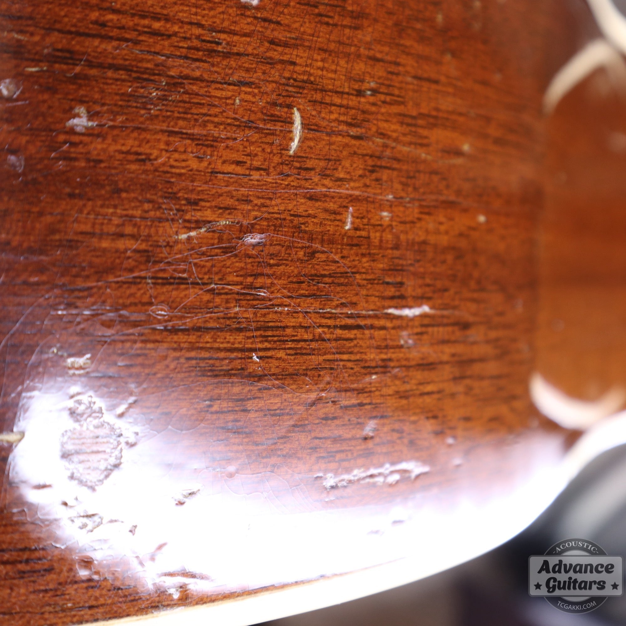 1940s JUMBO - 55 - TC楽器 - TCGAKKI