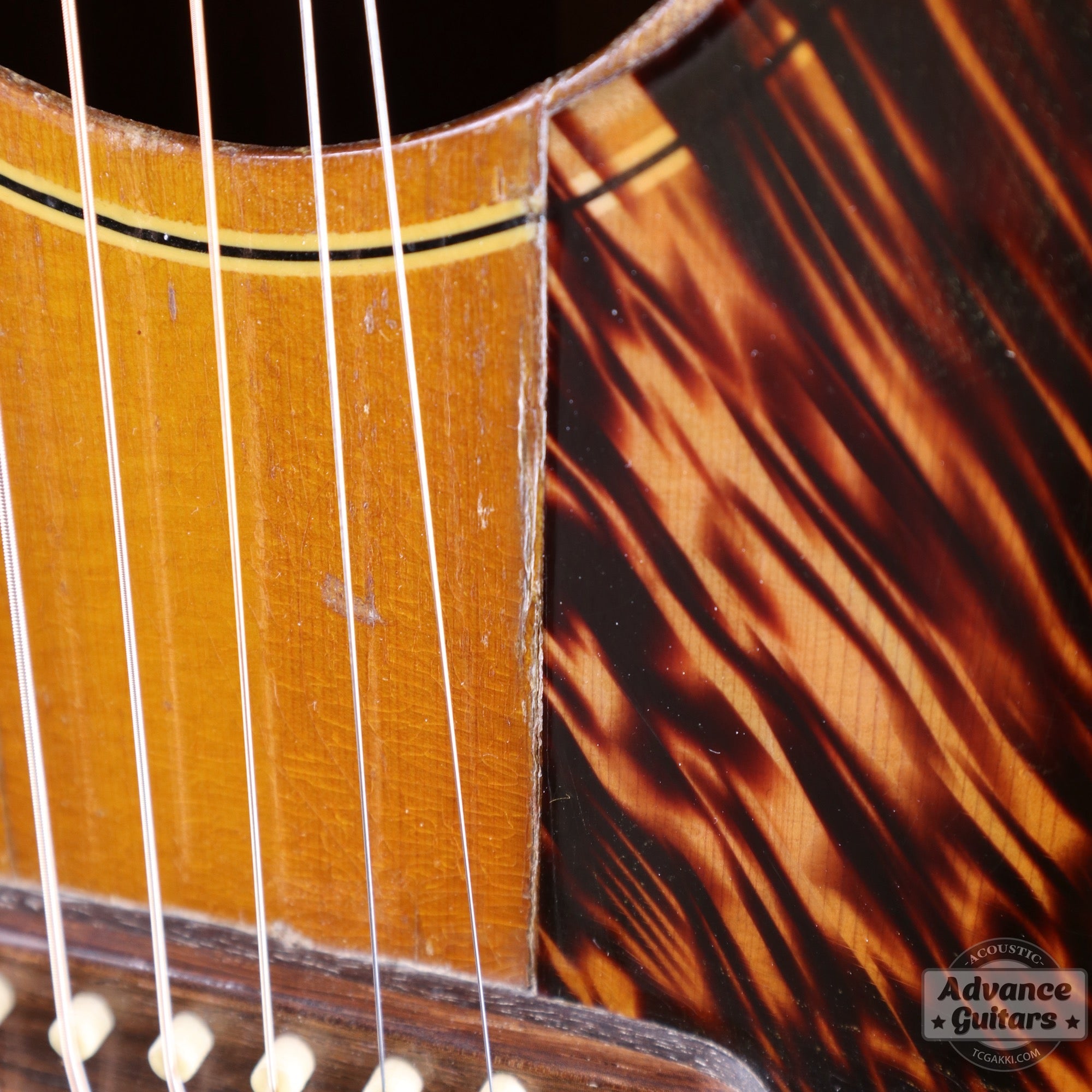 1940s JUMBO - 55 - TC楽器 - TCGAKKI