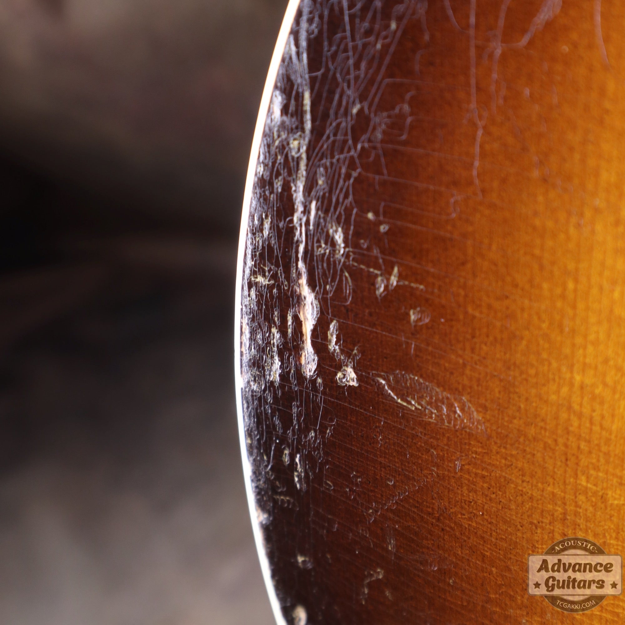 1940s JUMBO - 55 - TC楽器 - TCGAKKI